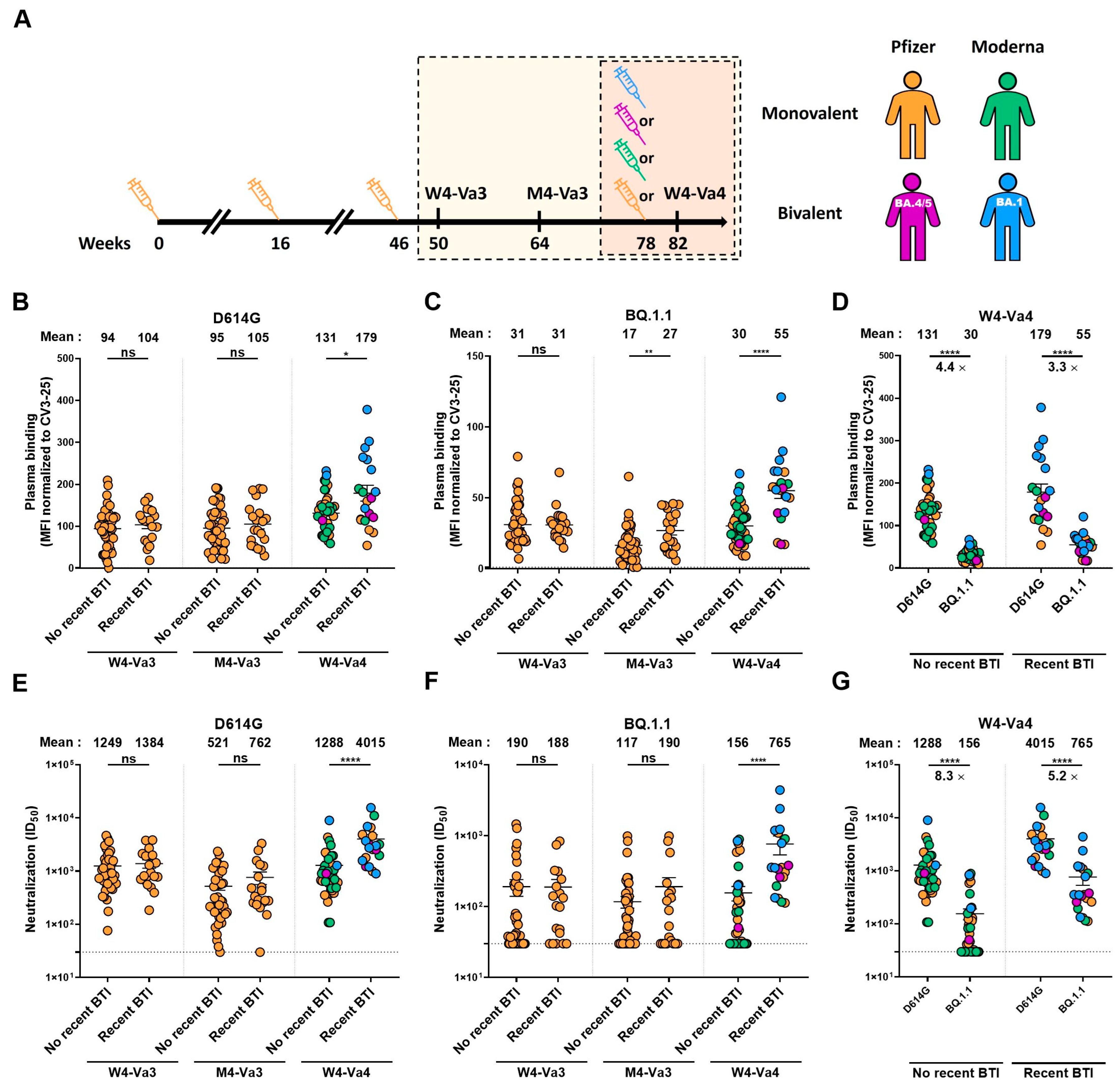 Vaccines 11 00242 g001
