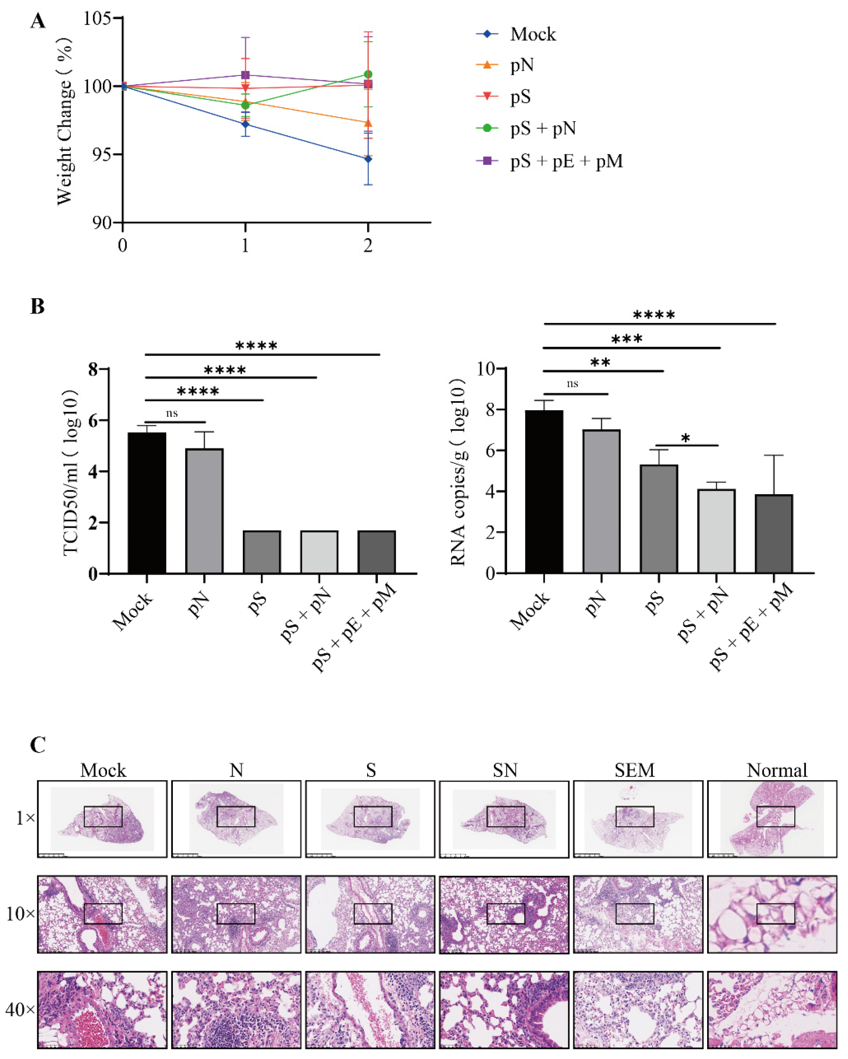 Vaccines 11 00243 g005