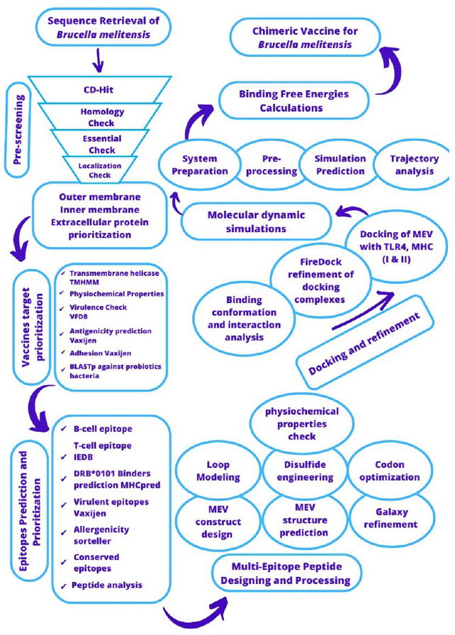 Vaccines 11 00263 g001