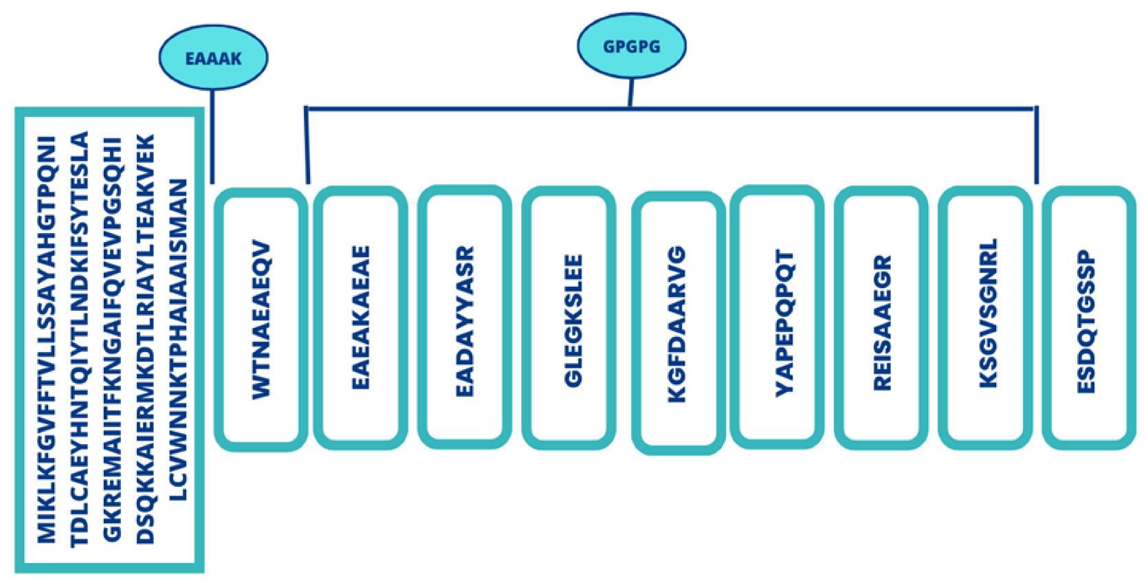 Vaccines 11 00263 g004