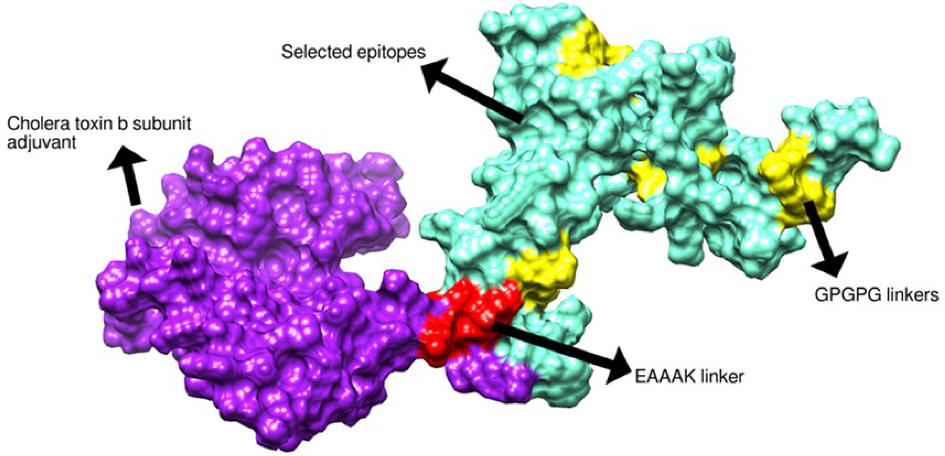 Vaccines 11 00263 g005
