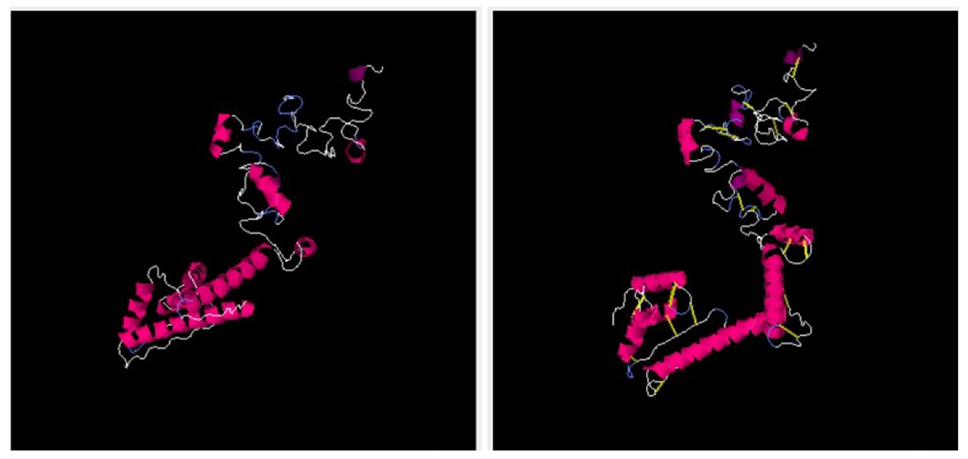 Vaccines 11 00263 g006