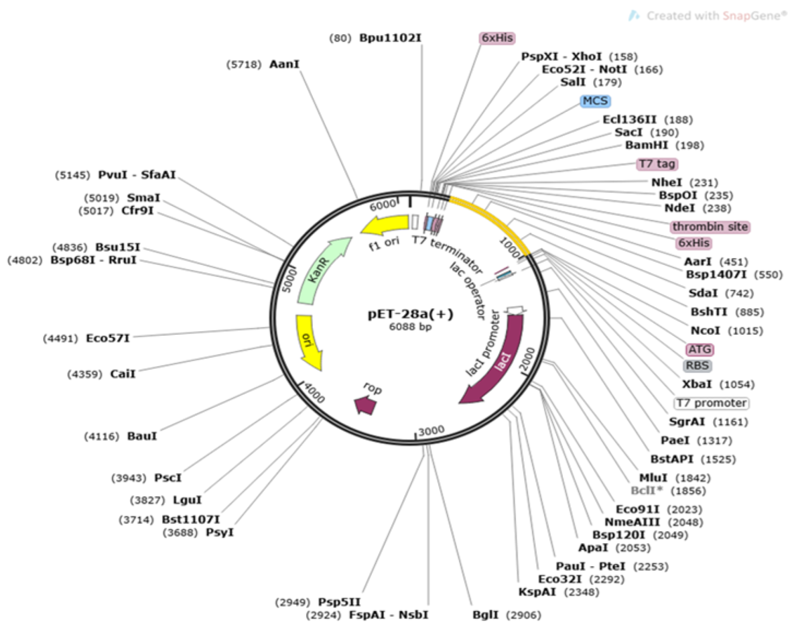Vaccines 11 00263 g007