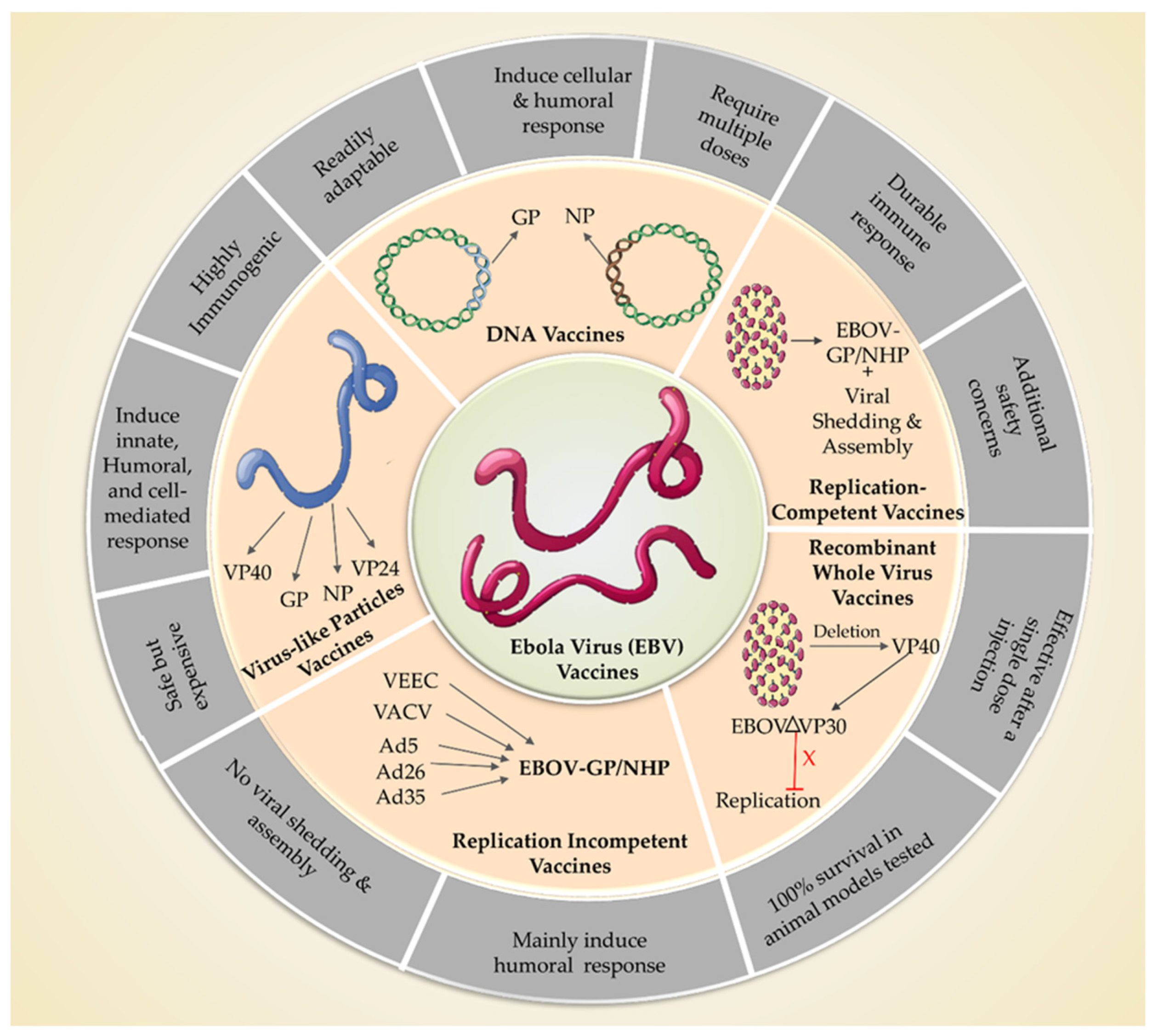 Vaccines 11 00268 g002 Vaccines 11 00268 g002