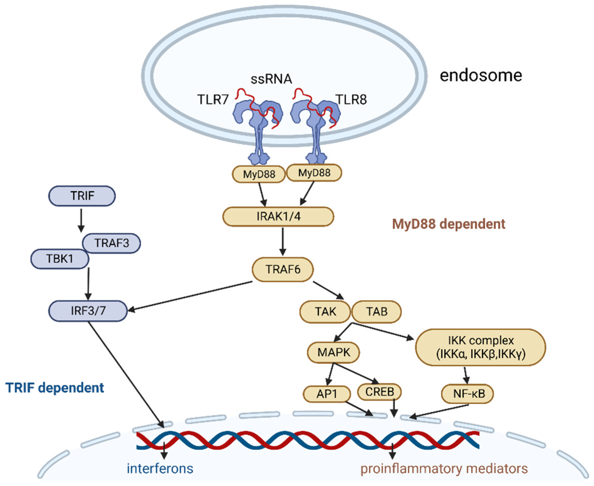Vaccines 11 00277 g001