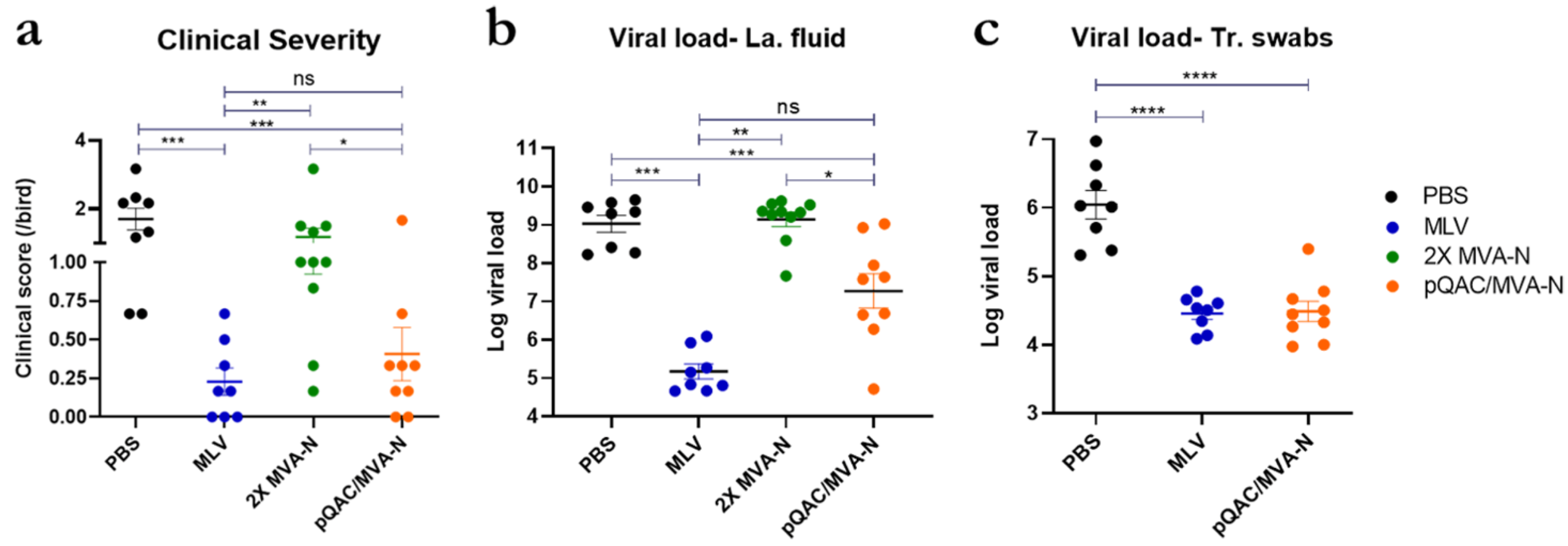 Vaccines 11 00302 g005