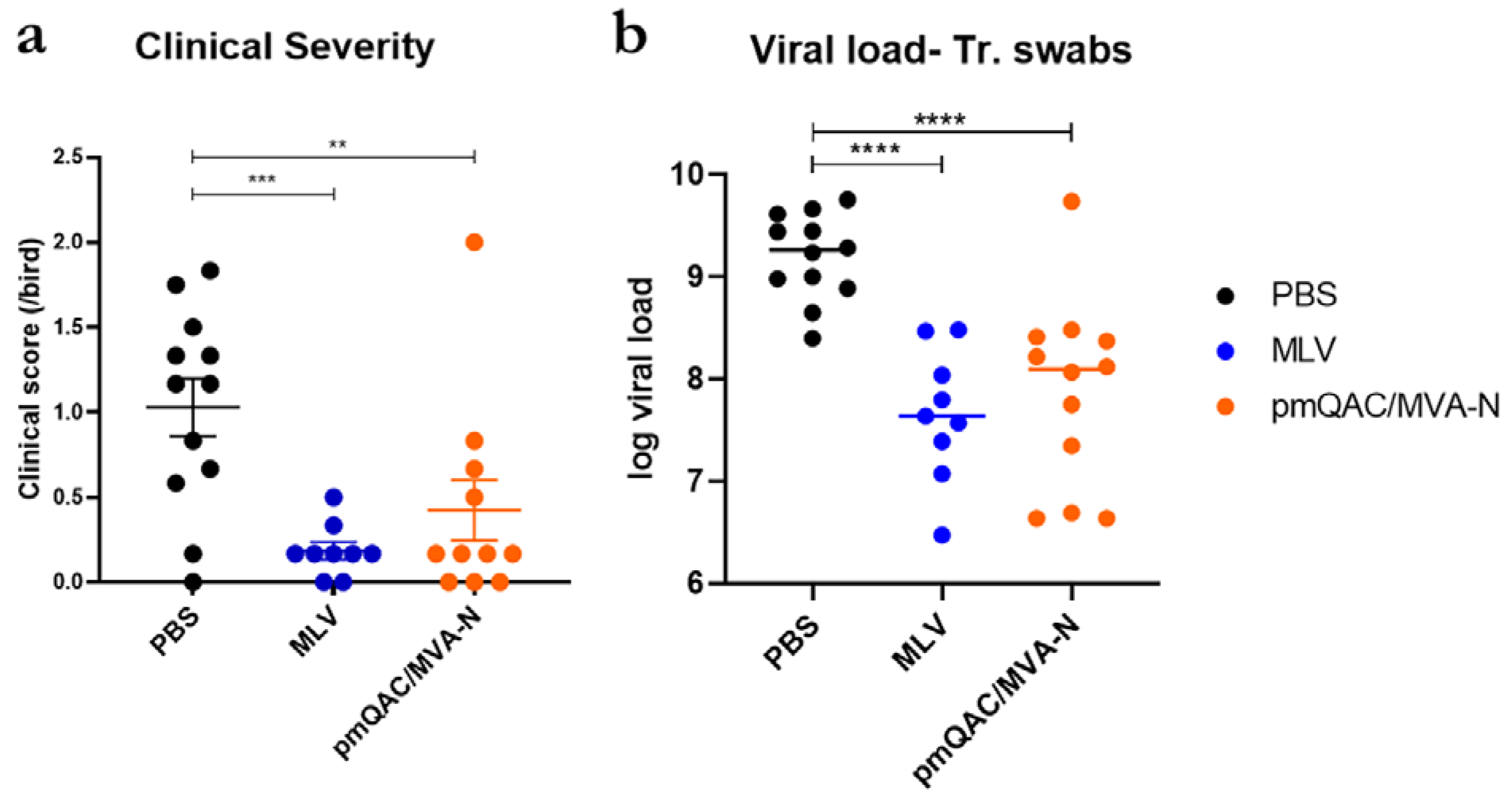 Vaccines 11 00302 g006