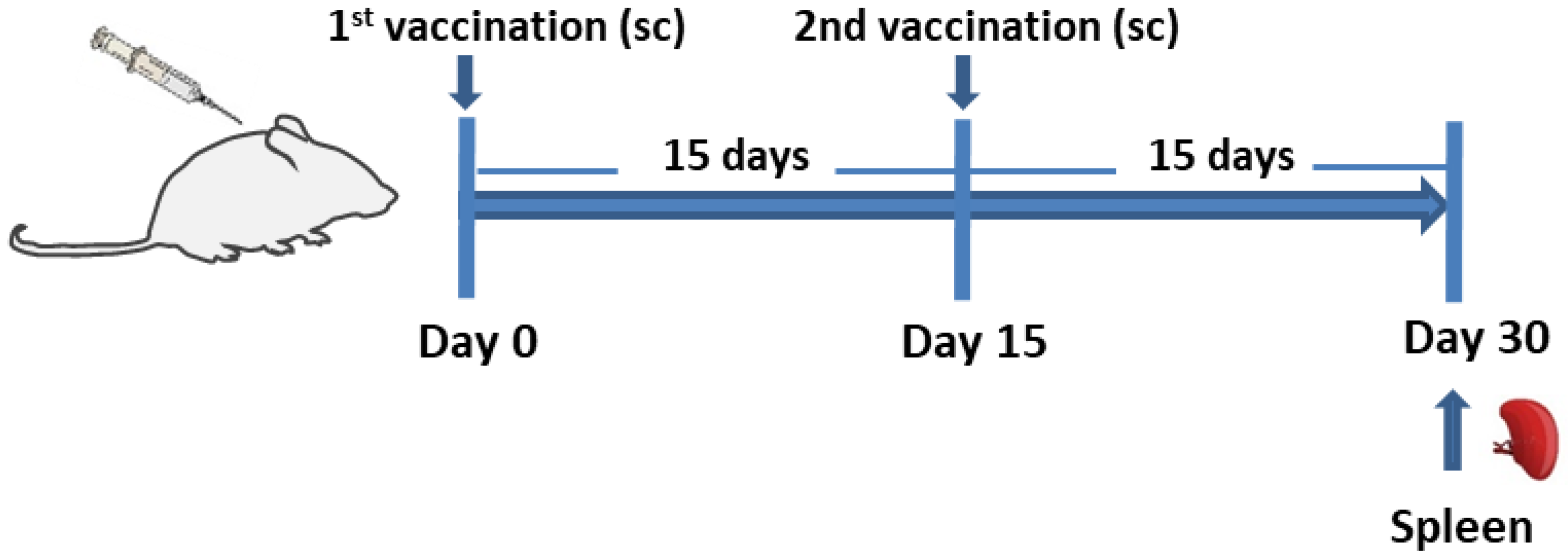 Vaccines 11 00304 g001 Vaccines 11 00304 g001