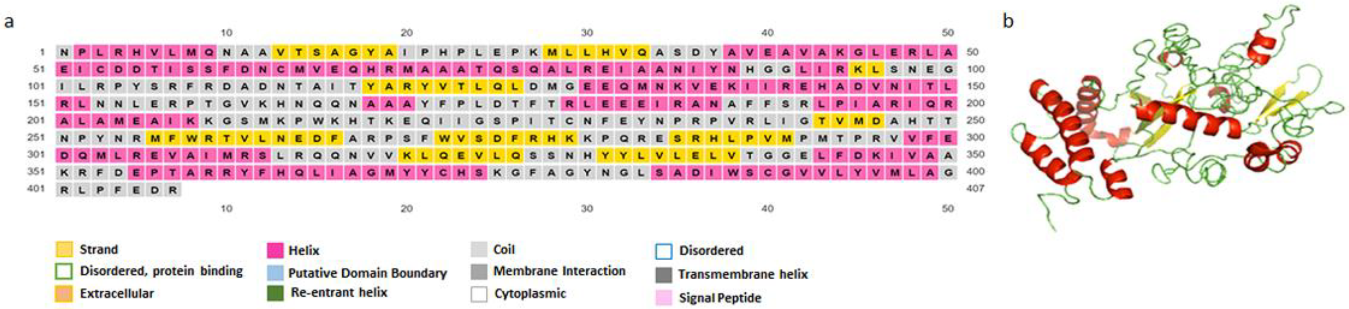 Vaccines 11 00304 g003 Vaccines 11 00304 g003