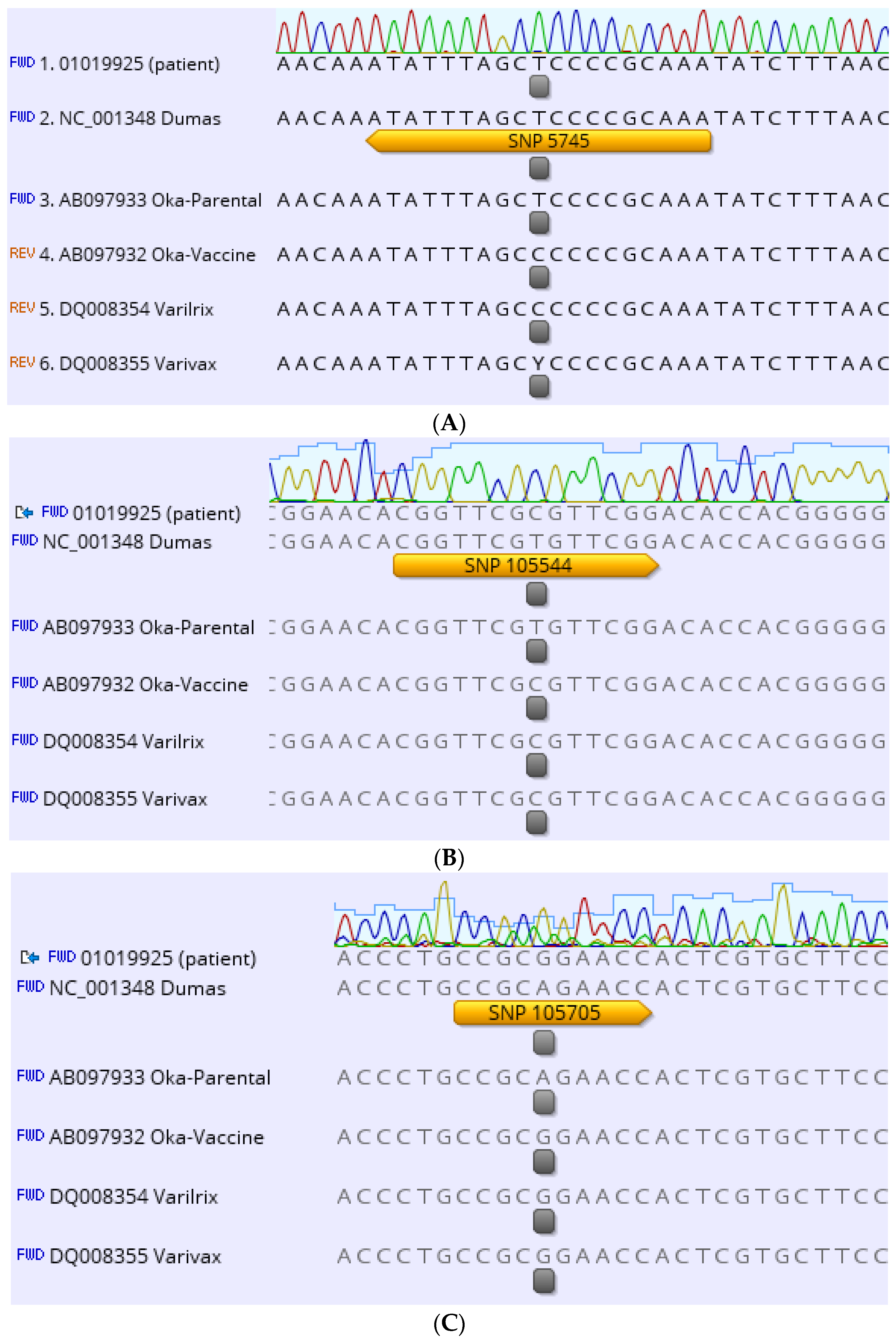 Vaccines 11 00309 g001a Vaccines 11 00309 g001a