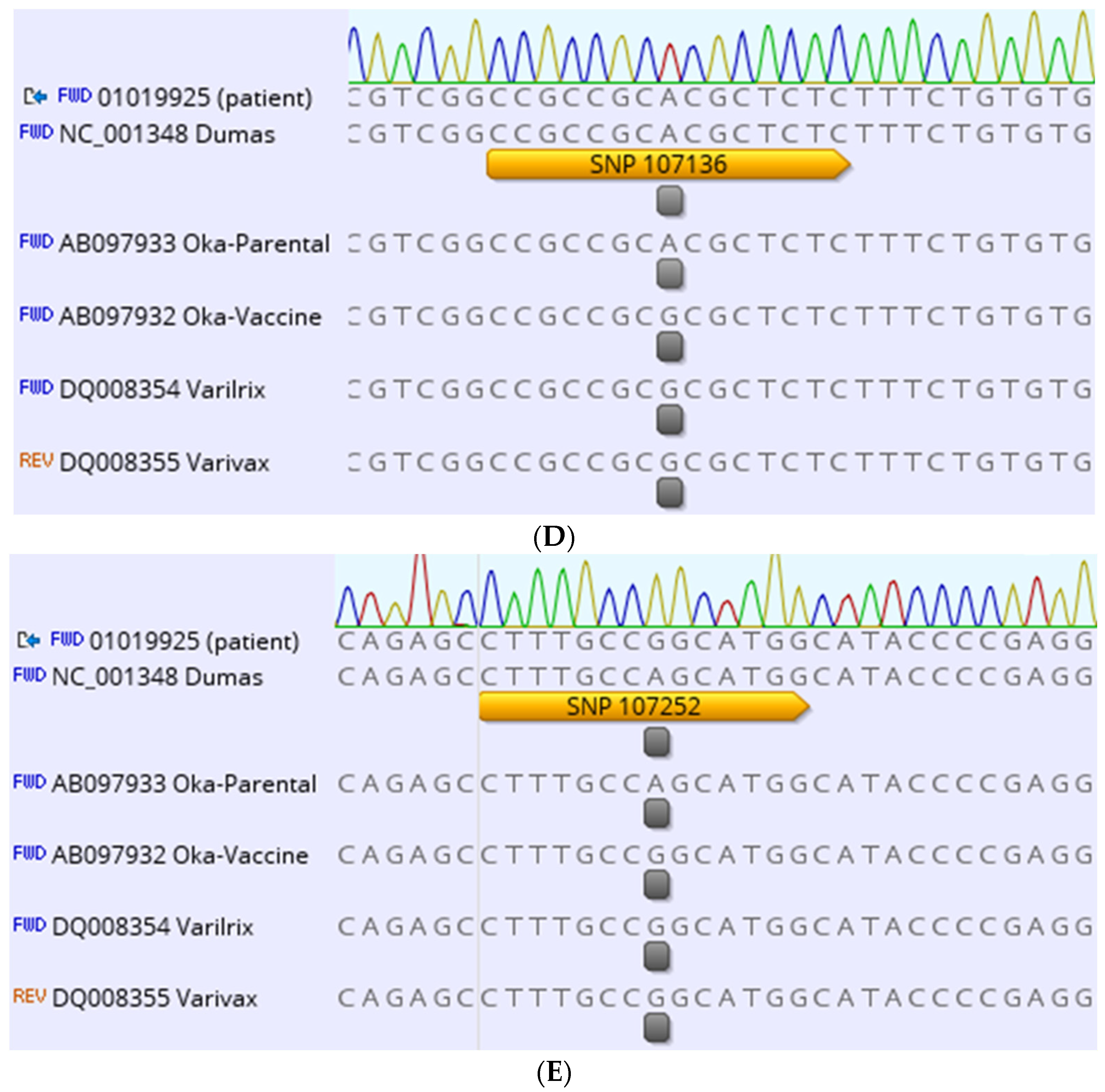 Vaccines 11 00309 g001b Vaccines 11 00309 g001b