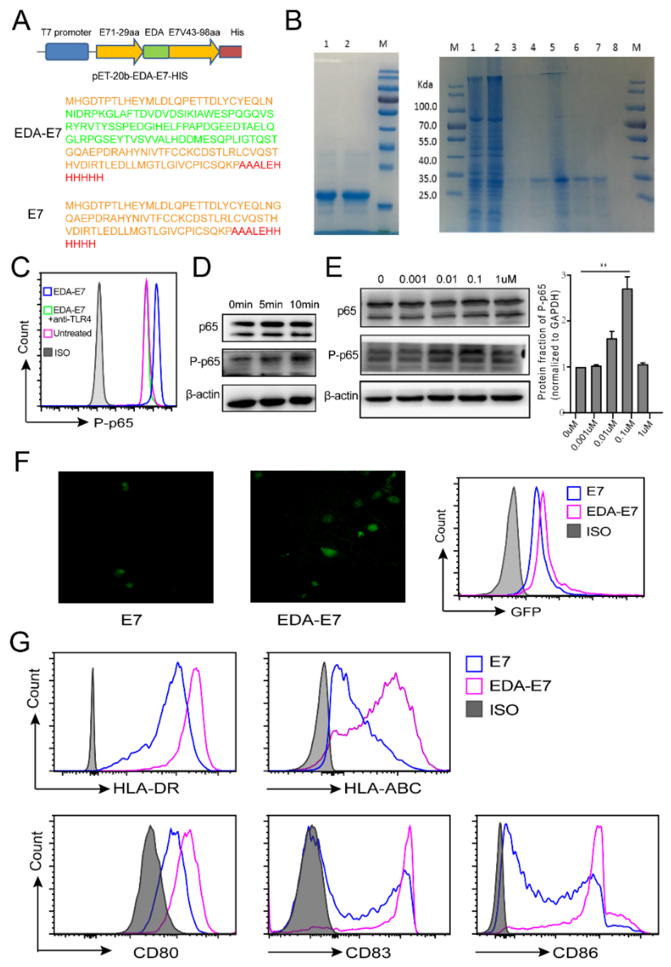 Vaccines 11 00320 g002