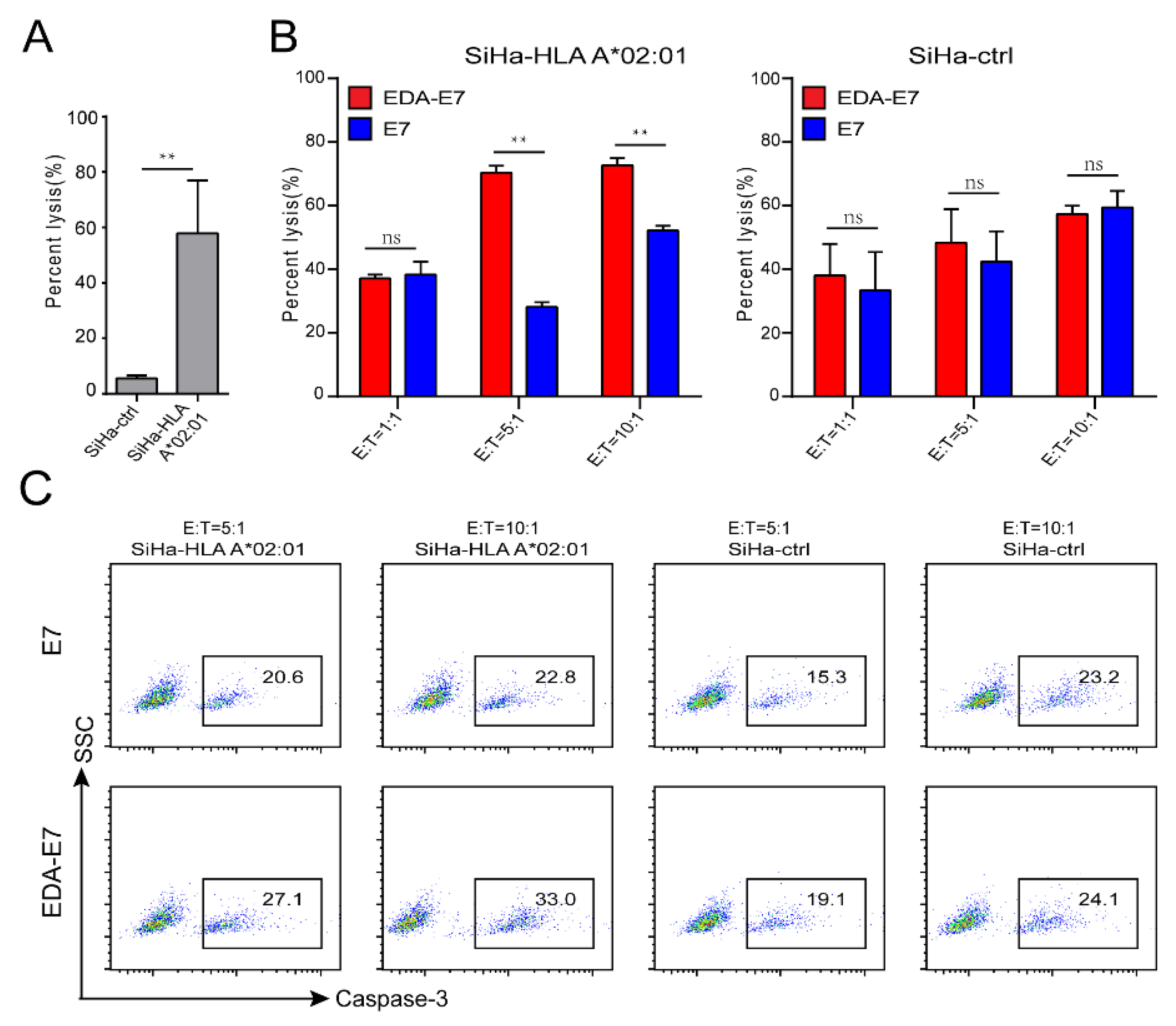 Vaccines 11 00320 g007