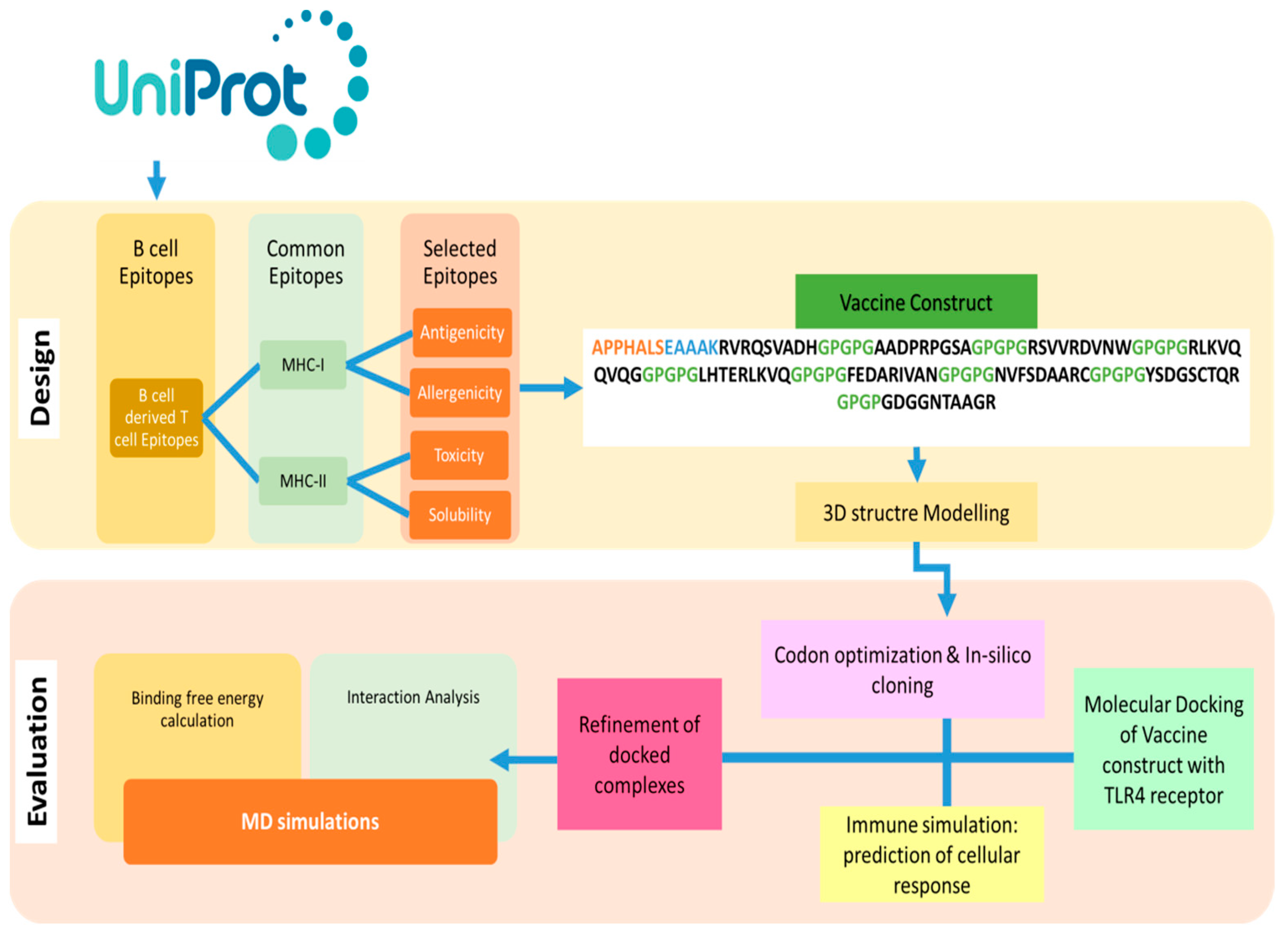 Vaccines 11 00339 g001