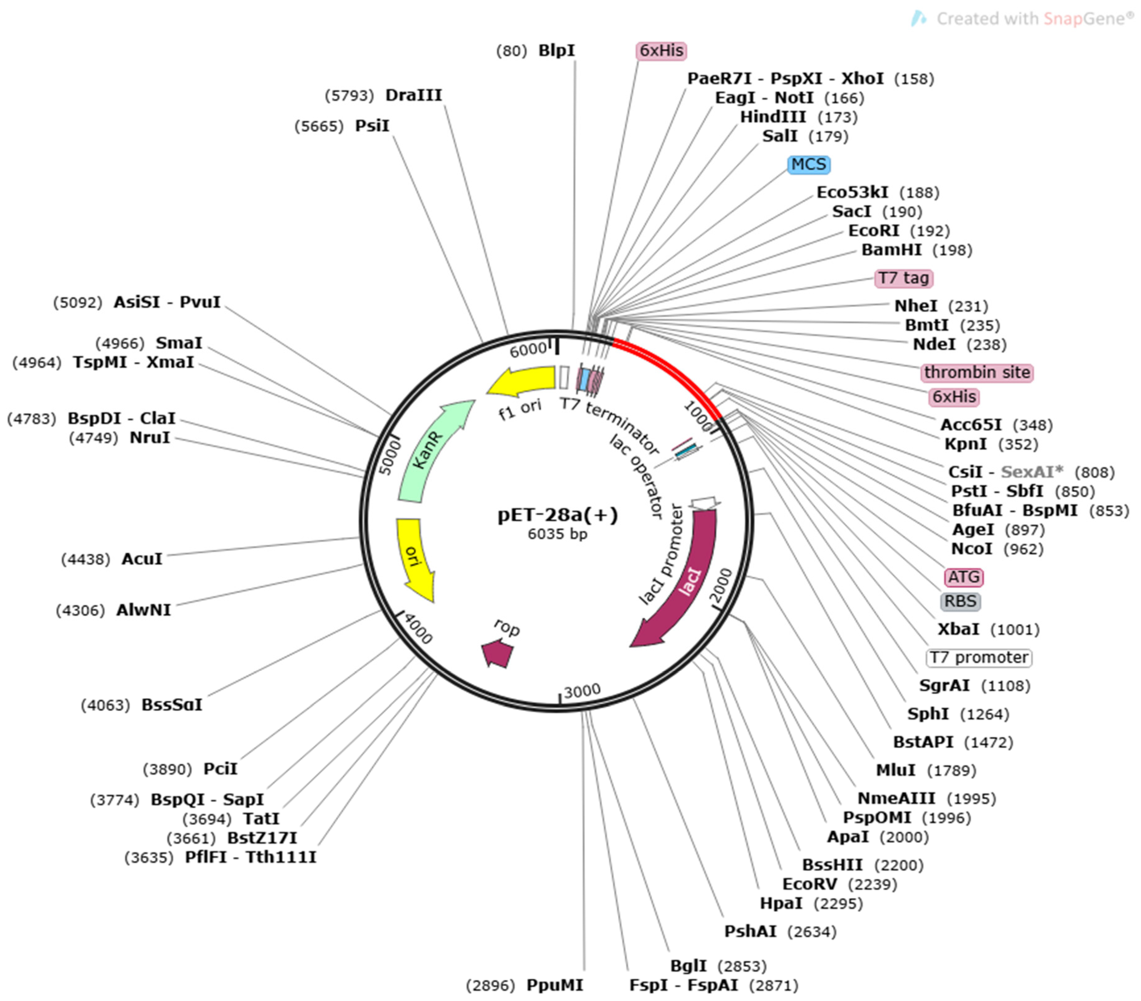 Vaccines 11 00339 g006