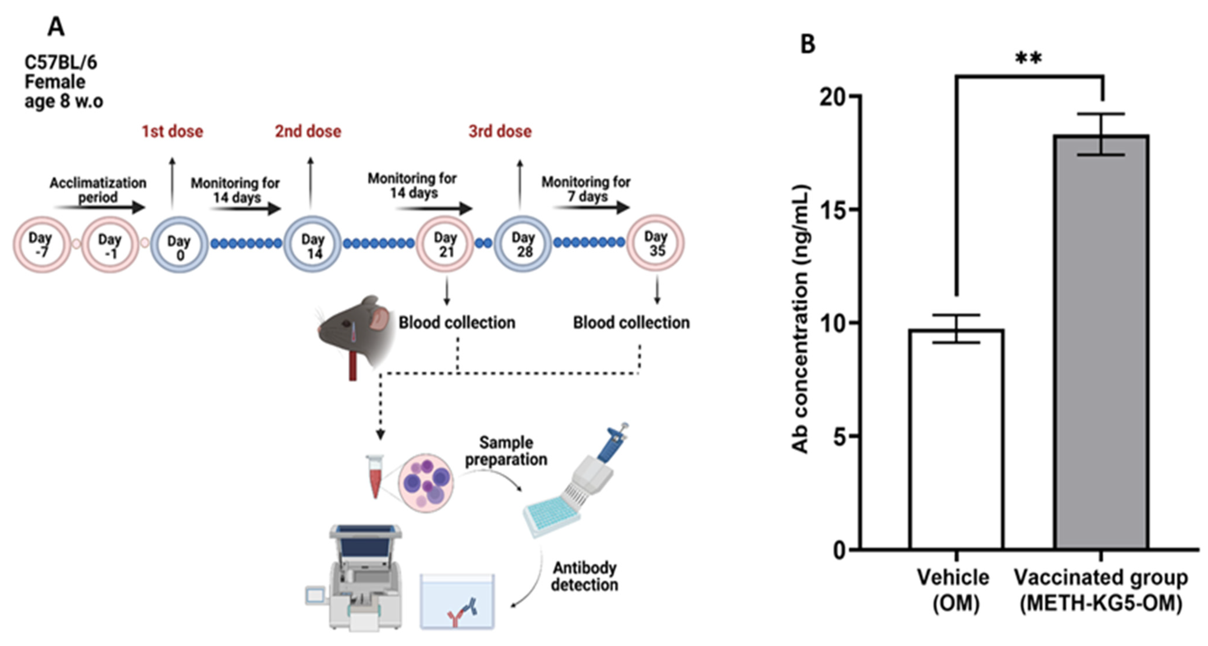 Vaccines 11 00340 g009