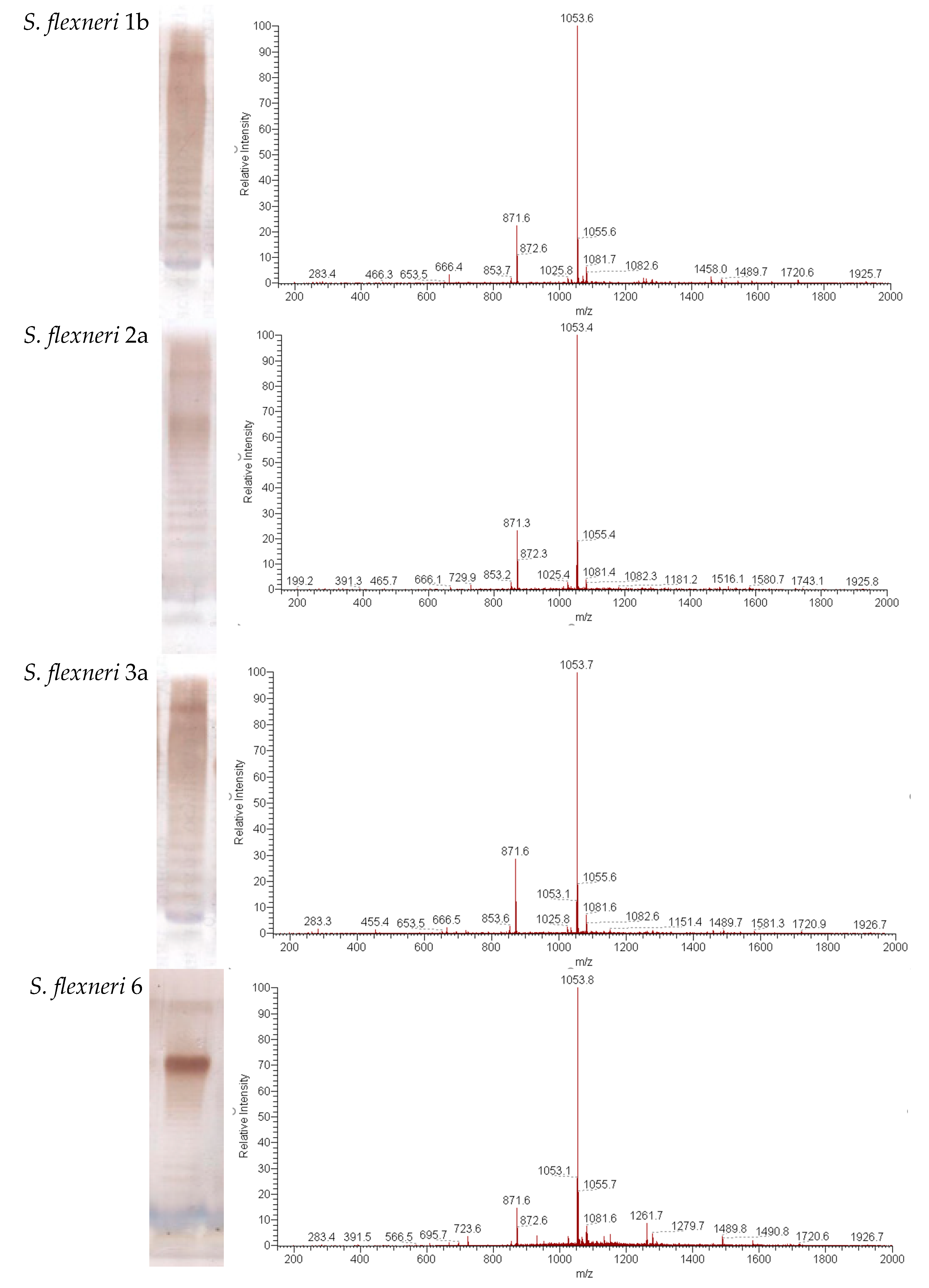 Vaccines 11 00345 g001a Vaccines 11 00345 g001a