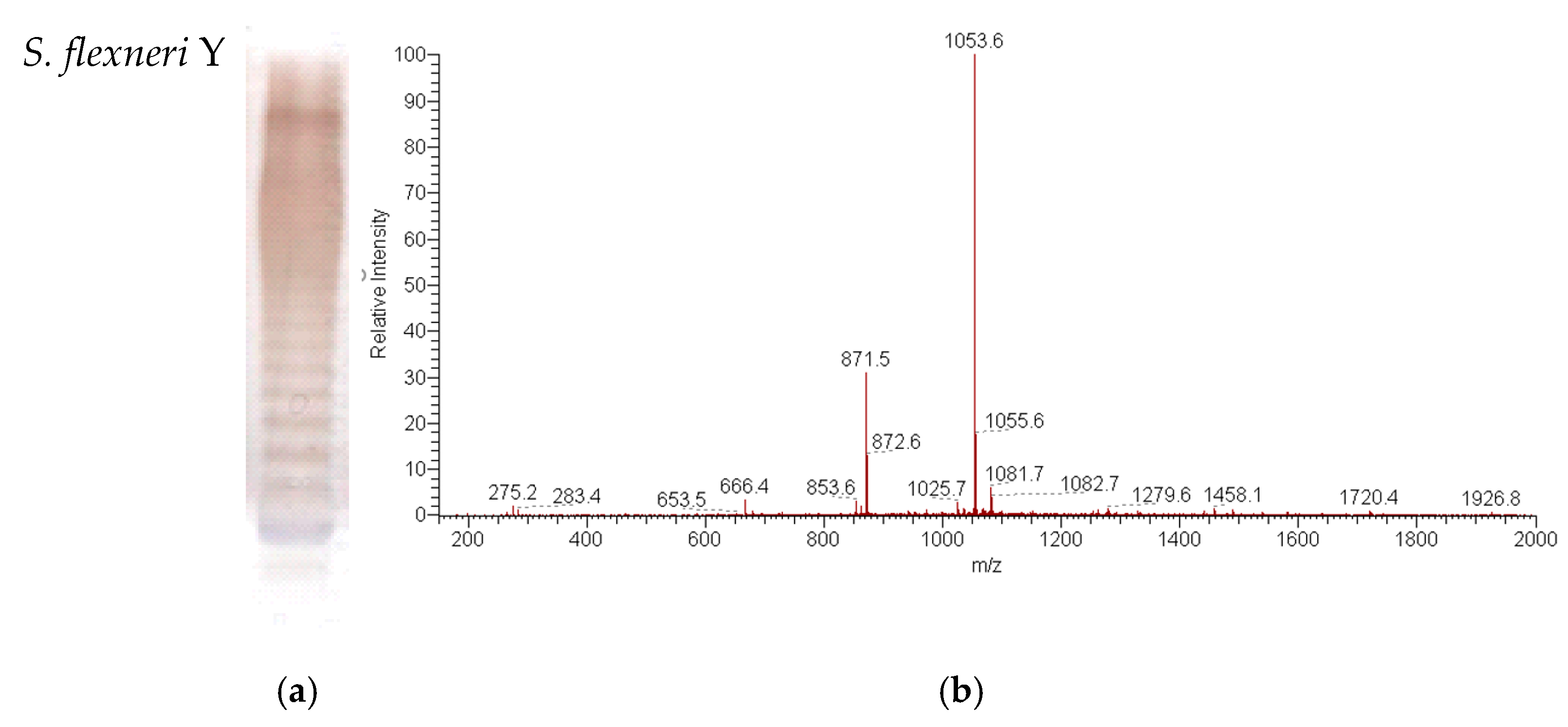 Vaccines 11 00345 g001b Vaccines 11 00345 g001b