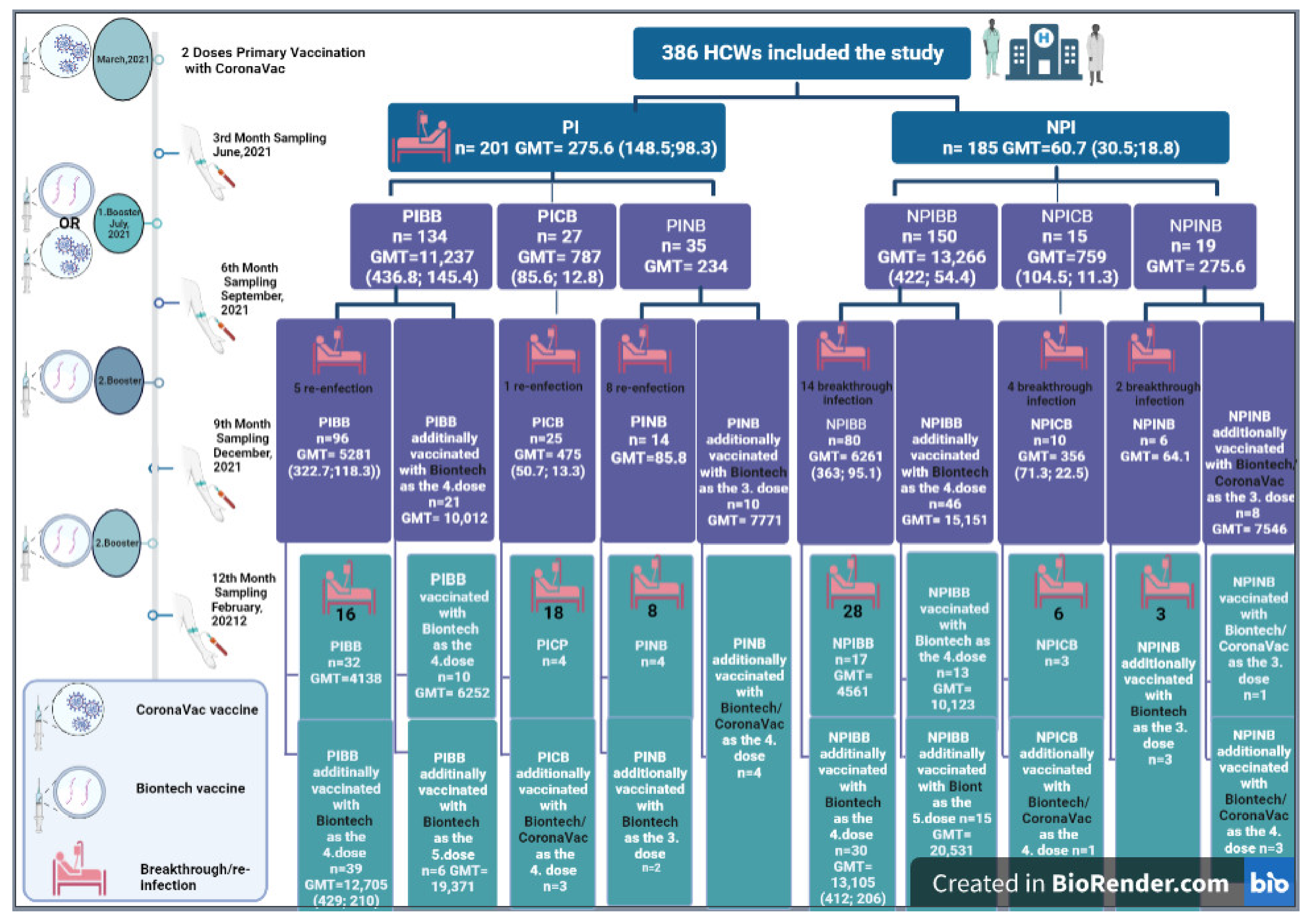 Vaccines 11 00355 g001