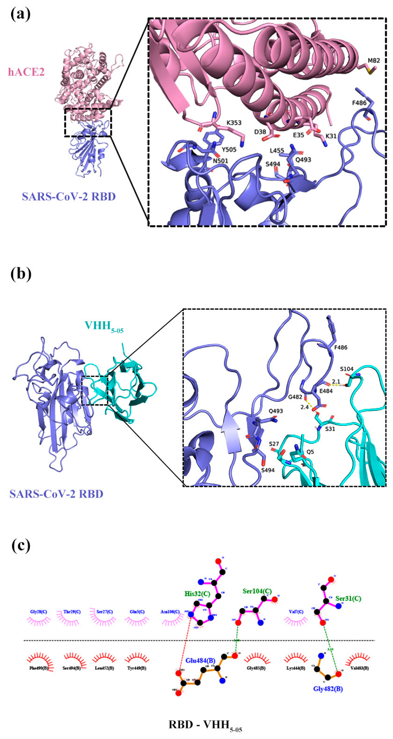 Vaccines 11 00371 g007
