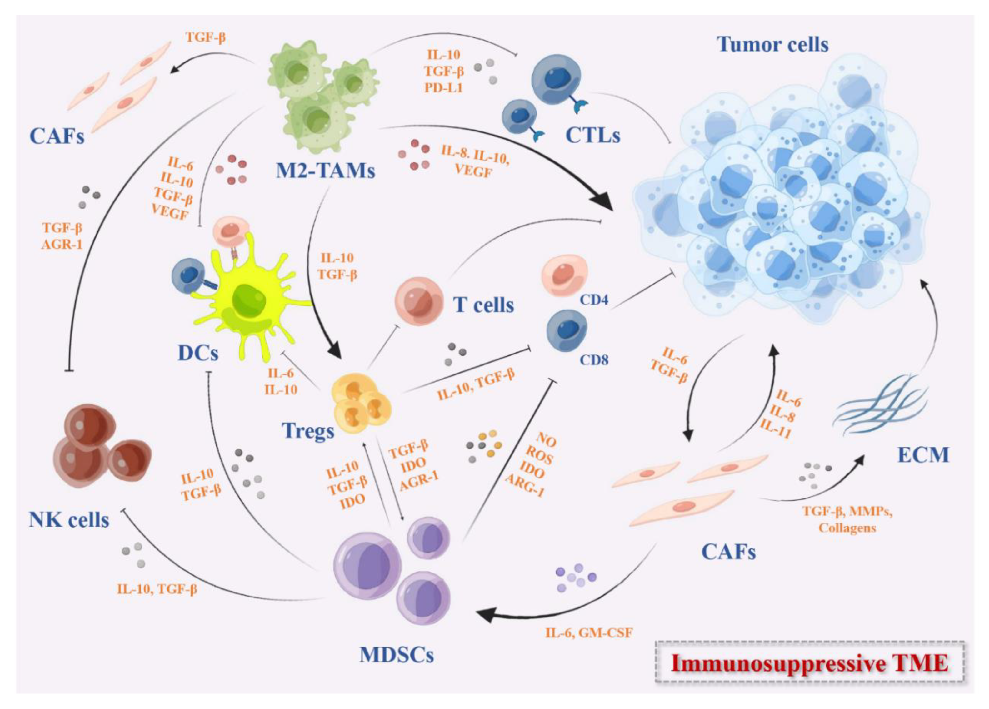 Vaccines 11 00394 g001 Vaccines 11 00394 g001