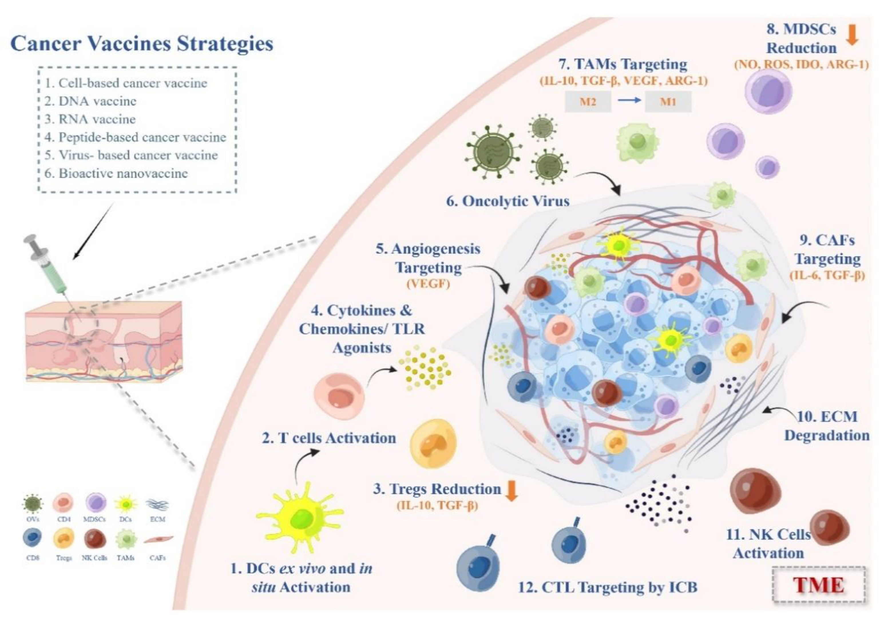 Vaccines 11 00394 g002 Vaccines 11 00394 g002