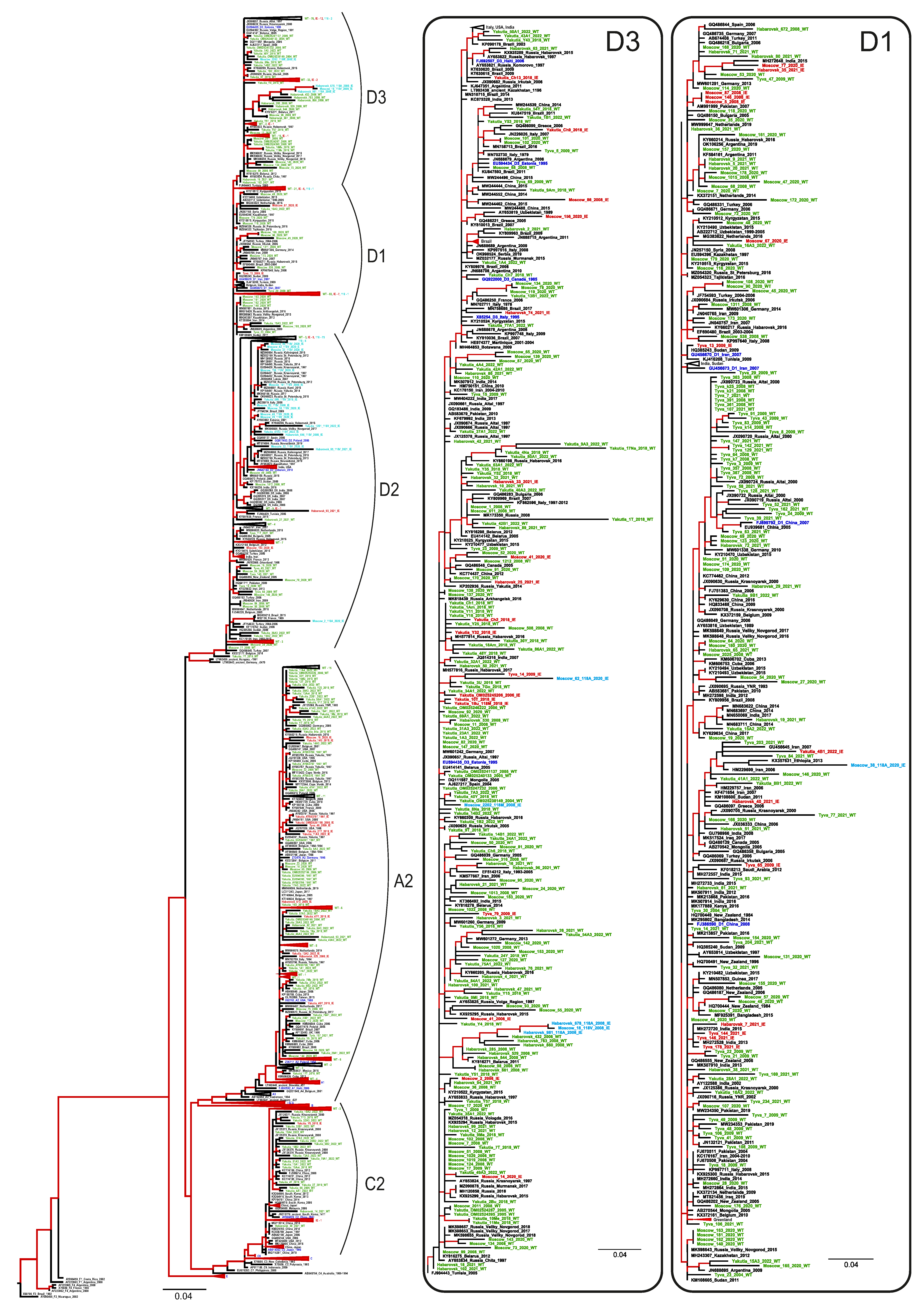 Vaccines 11 00430 g004a