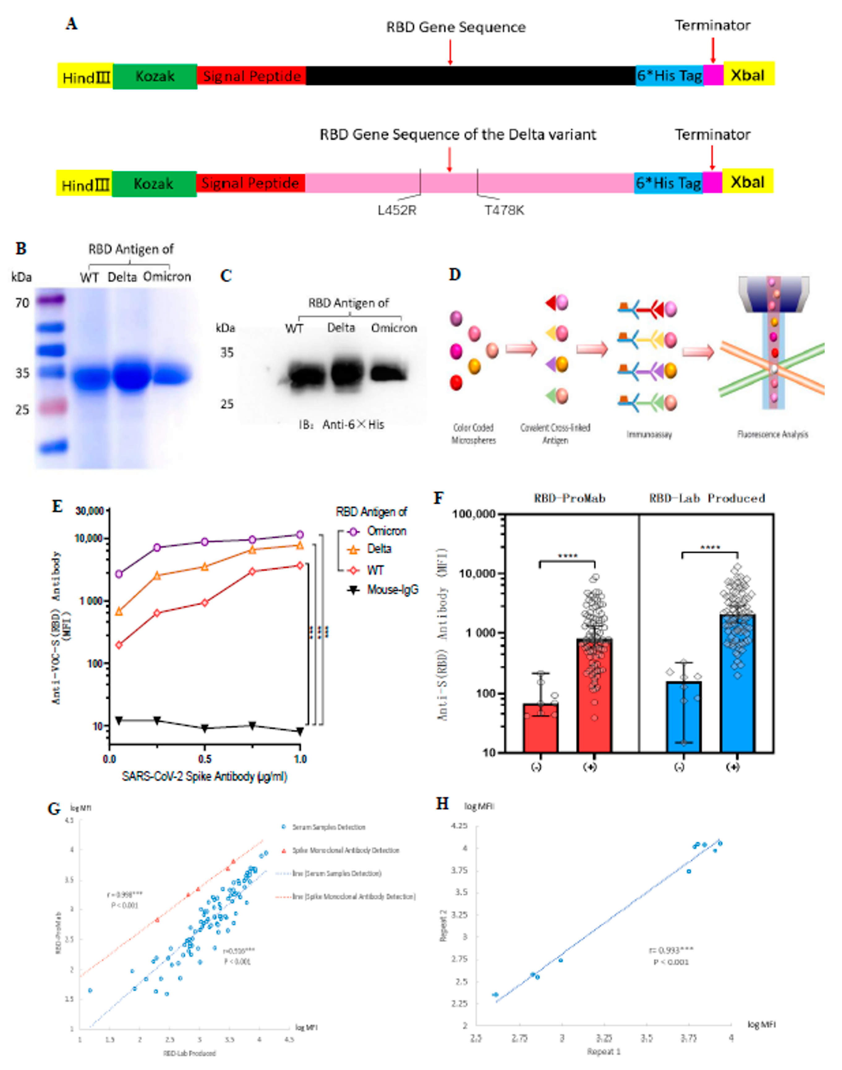 Vaccines 11 00442 g001