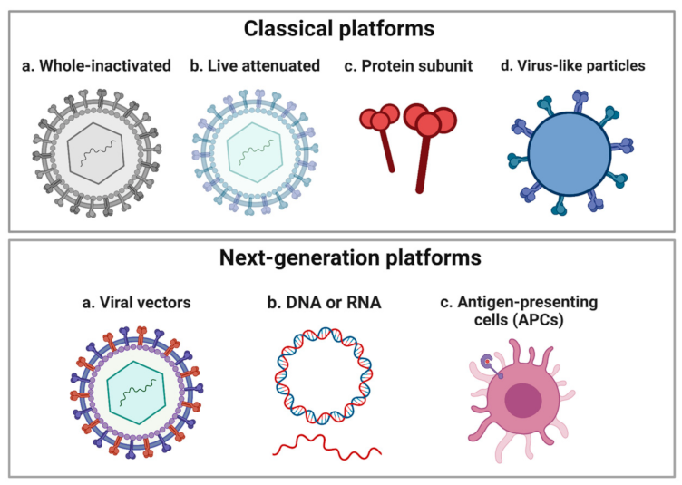 Vaccines 11 00448 g001 Vaccines 11 00448 g001