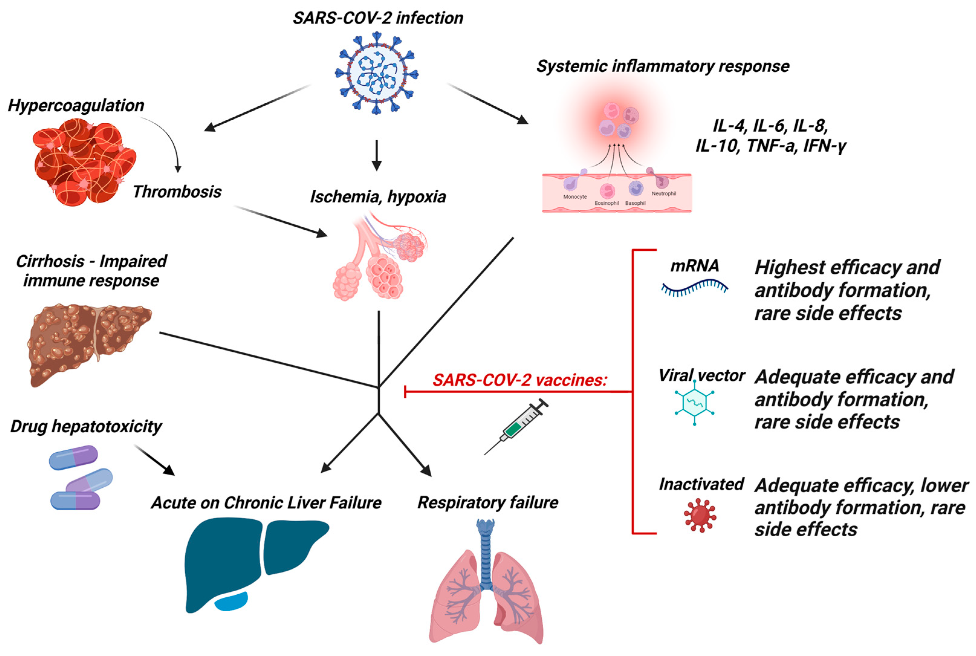 Vaccines 11 00452 g001