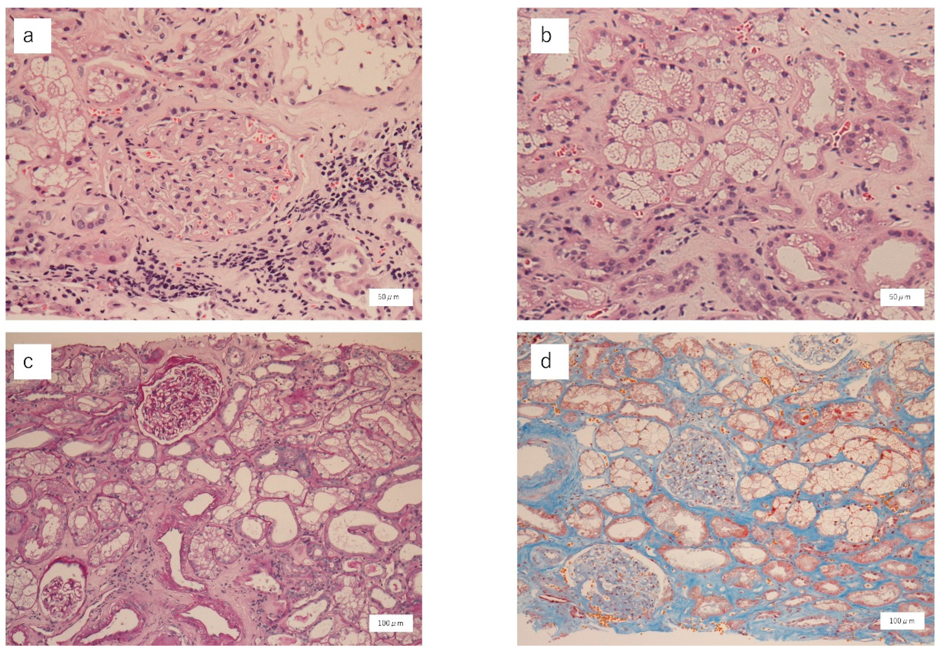 Vaccines 11 00464 g001 Vaccines 11 00464 g001