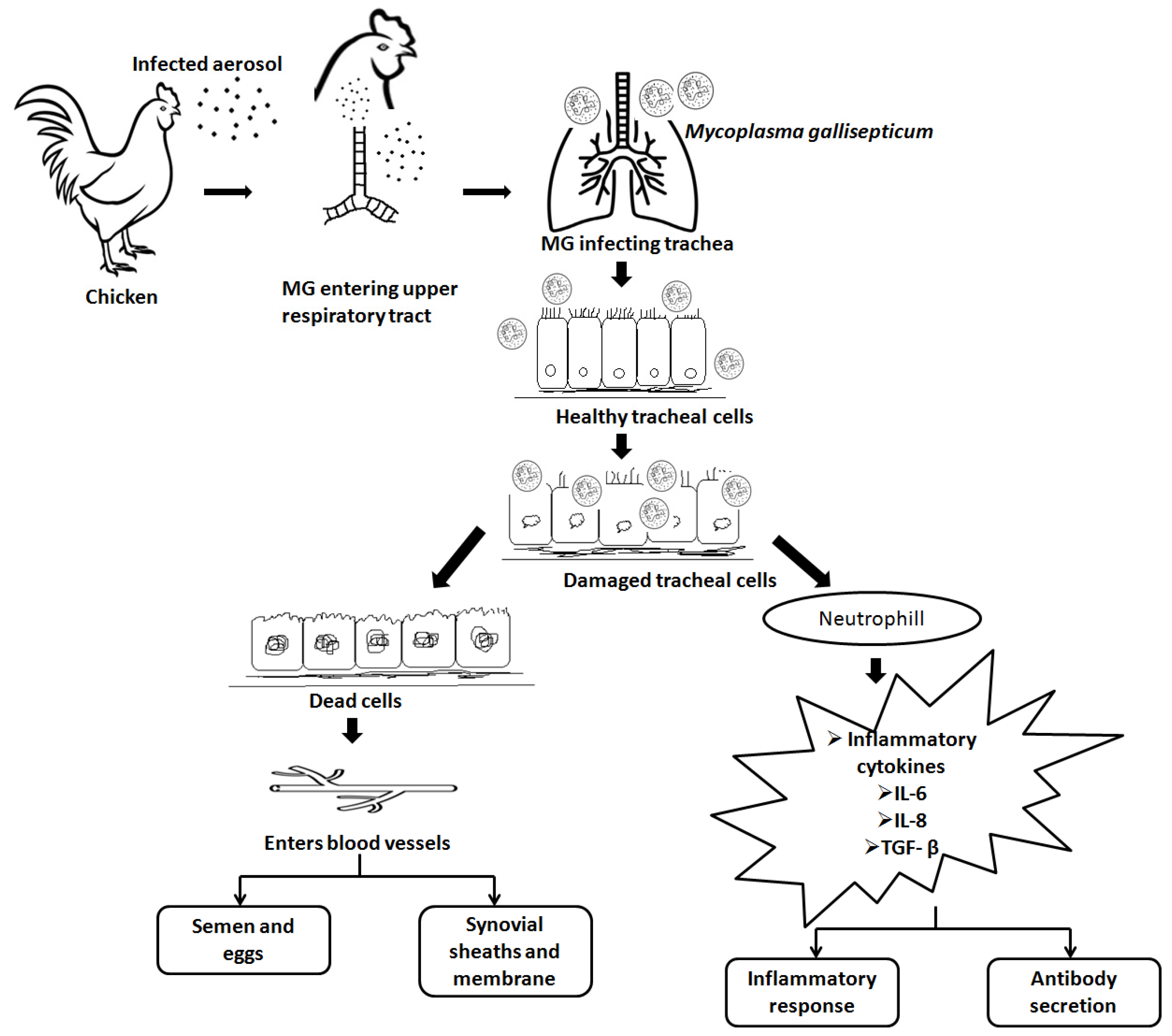 Vaccines 11 00469 g003