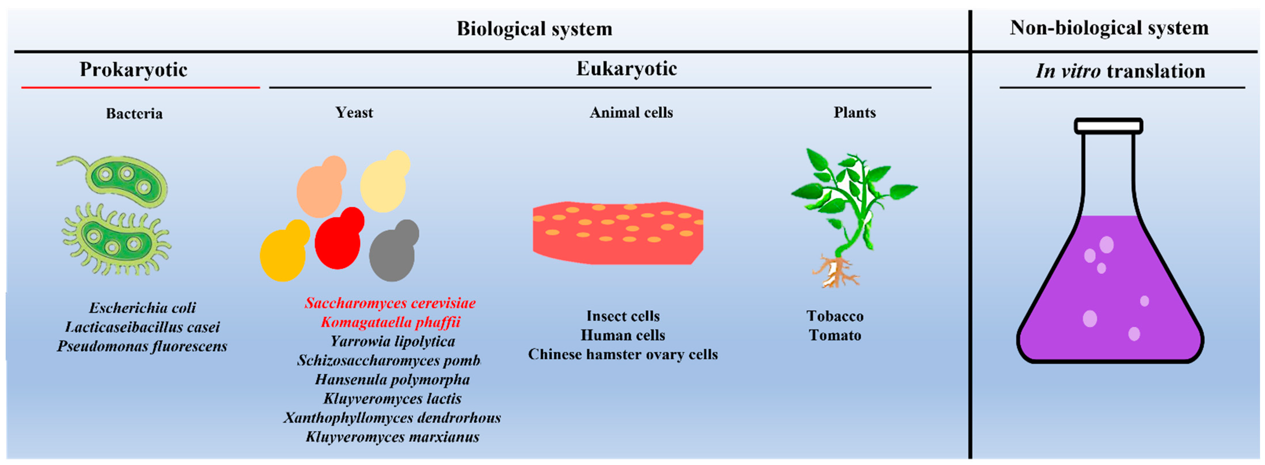Vaccines 11 00479 g003