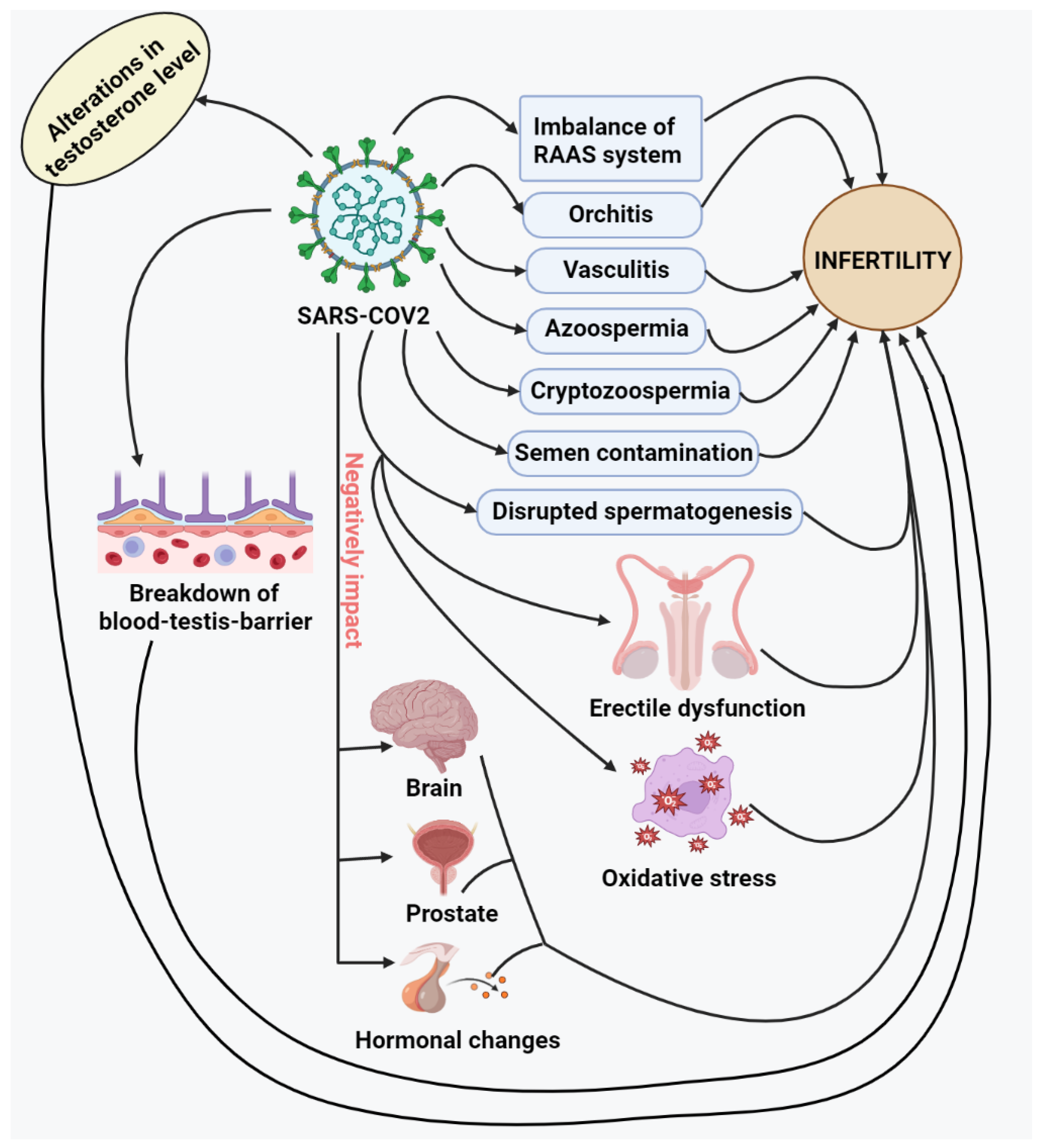 Vaccines 11 00510 g002