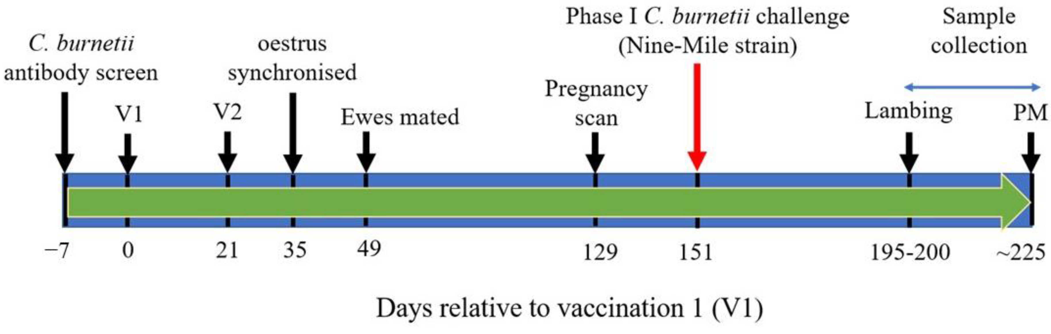 Vaccines 11 00511 g001