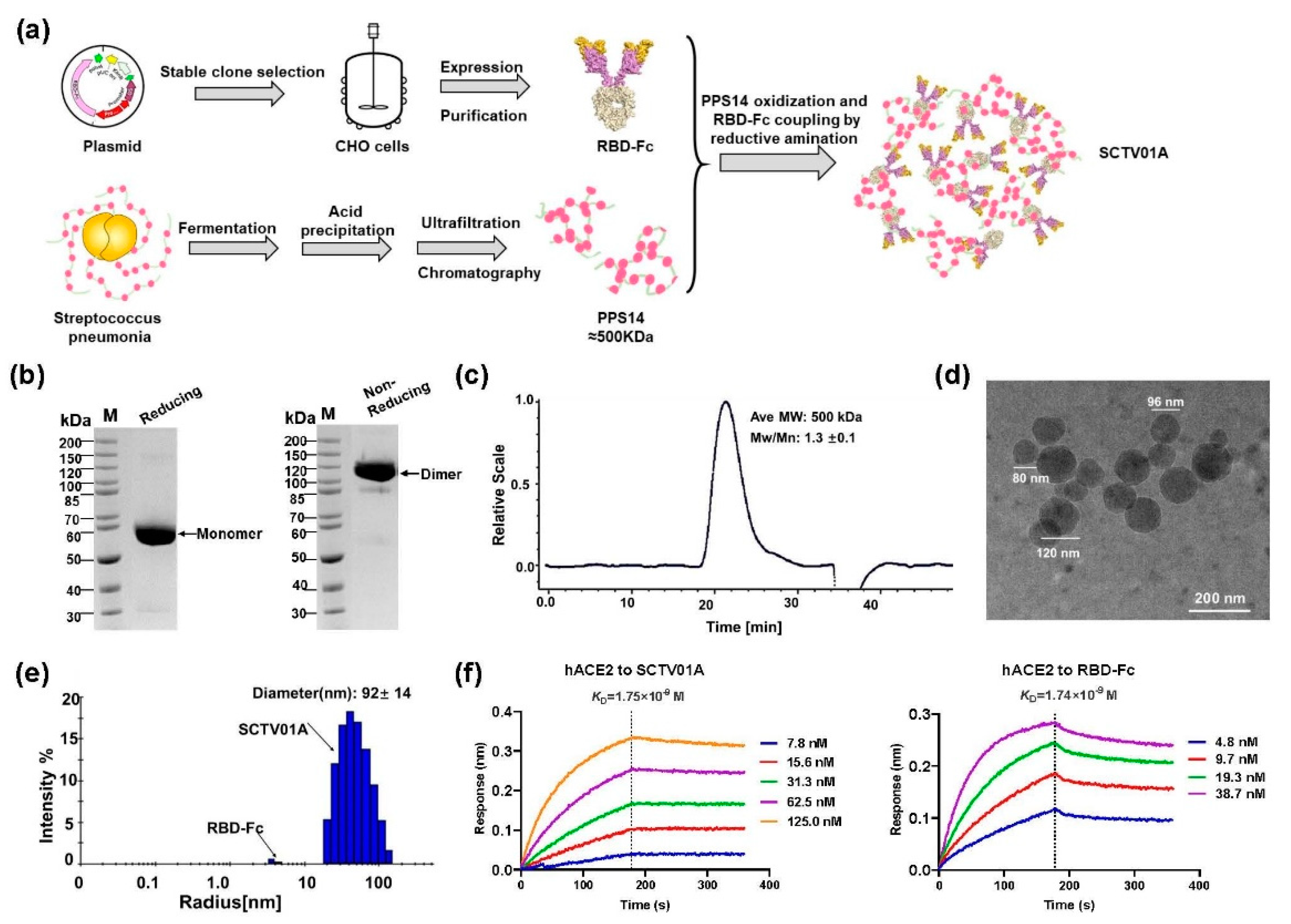 Vaccines 11 00526 g001