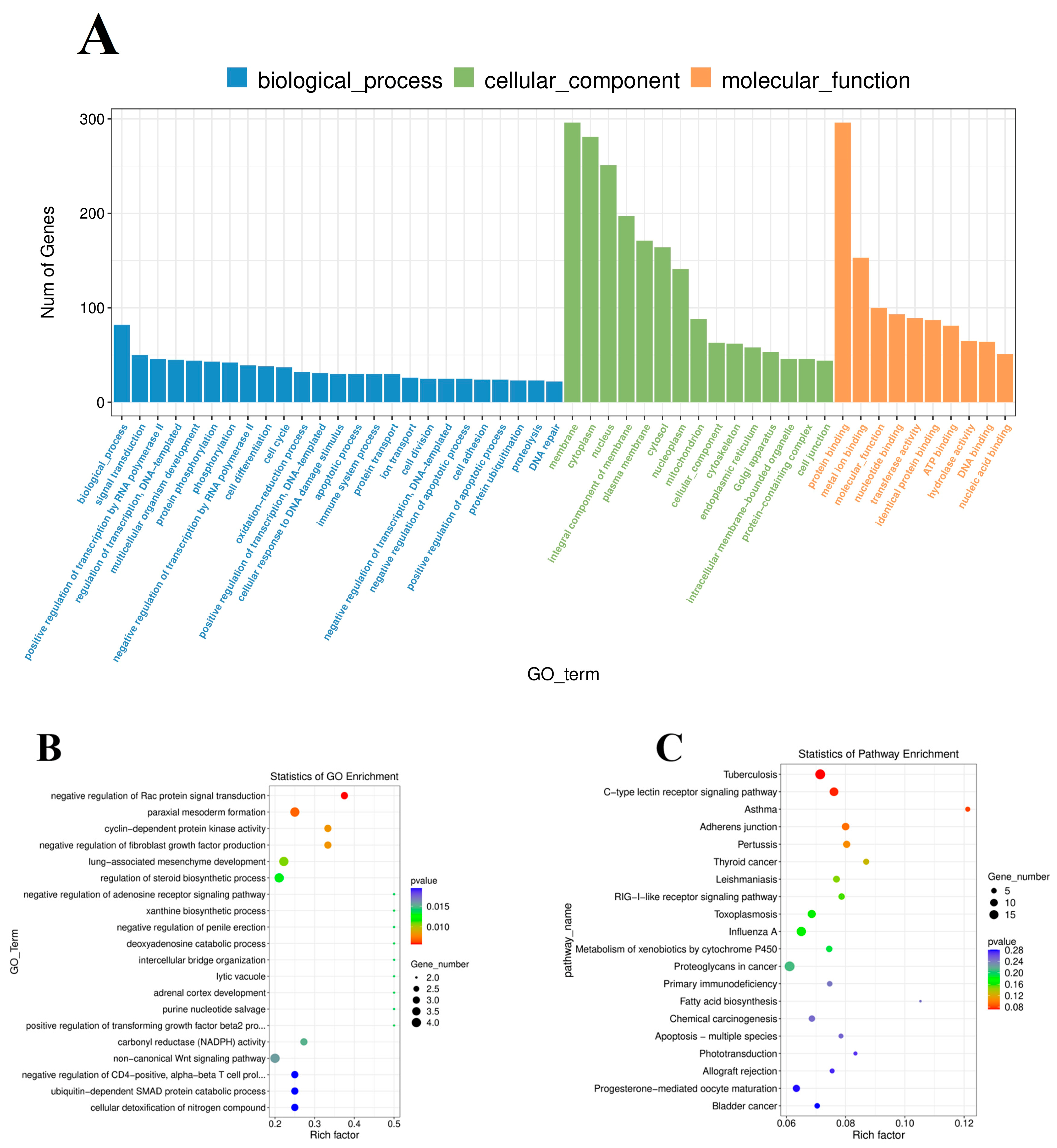 Vaccines 11 00529 g006