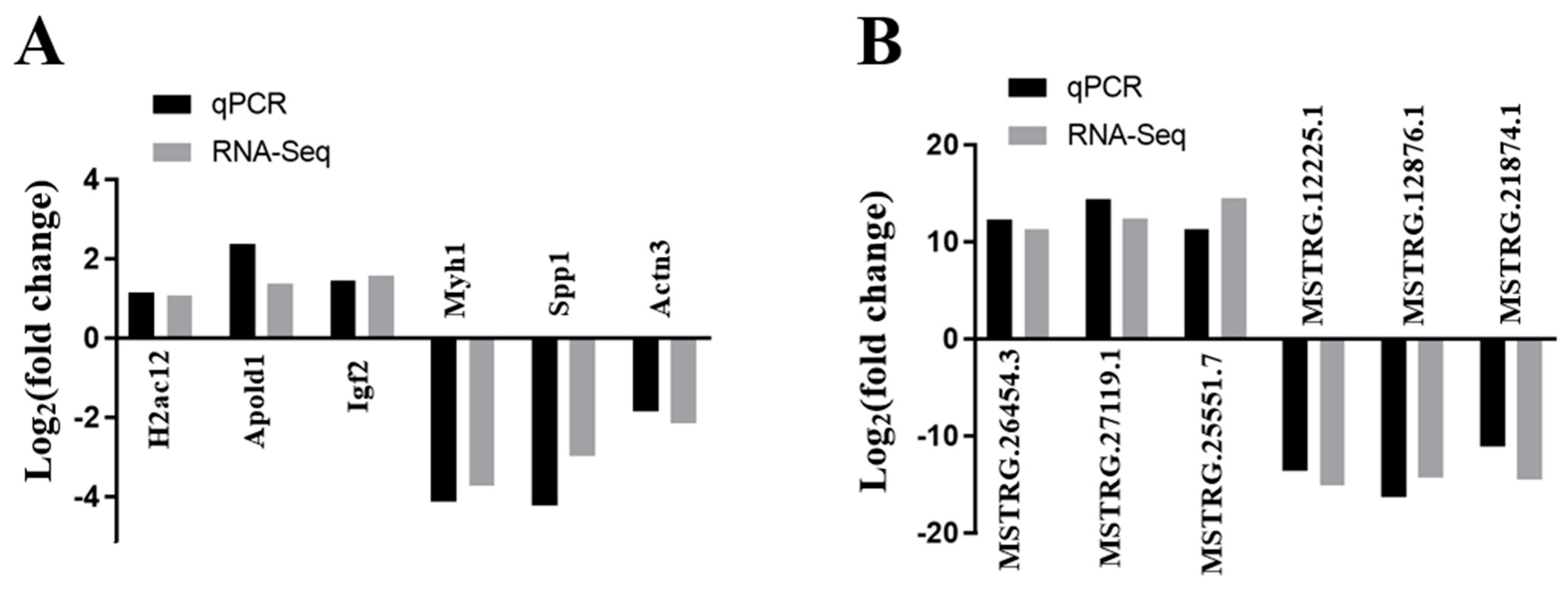 Vaccines 11 00529 g007