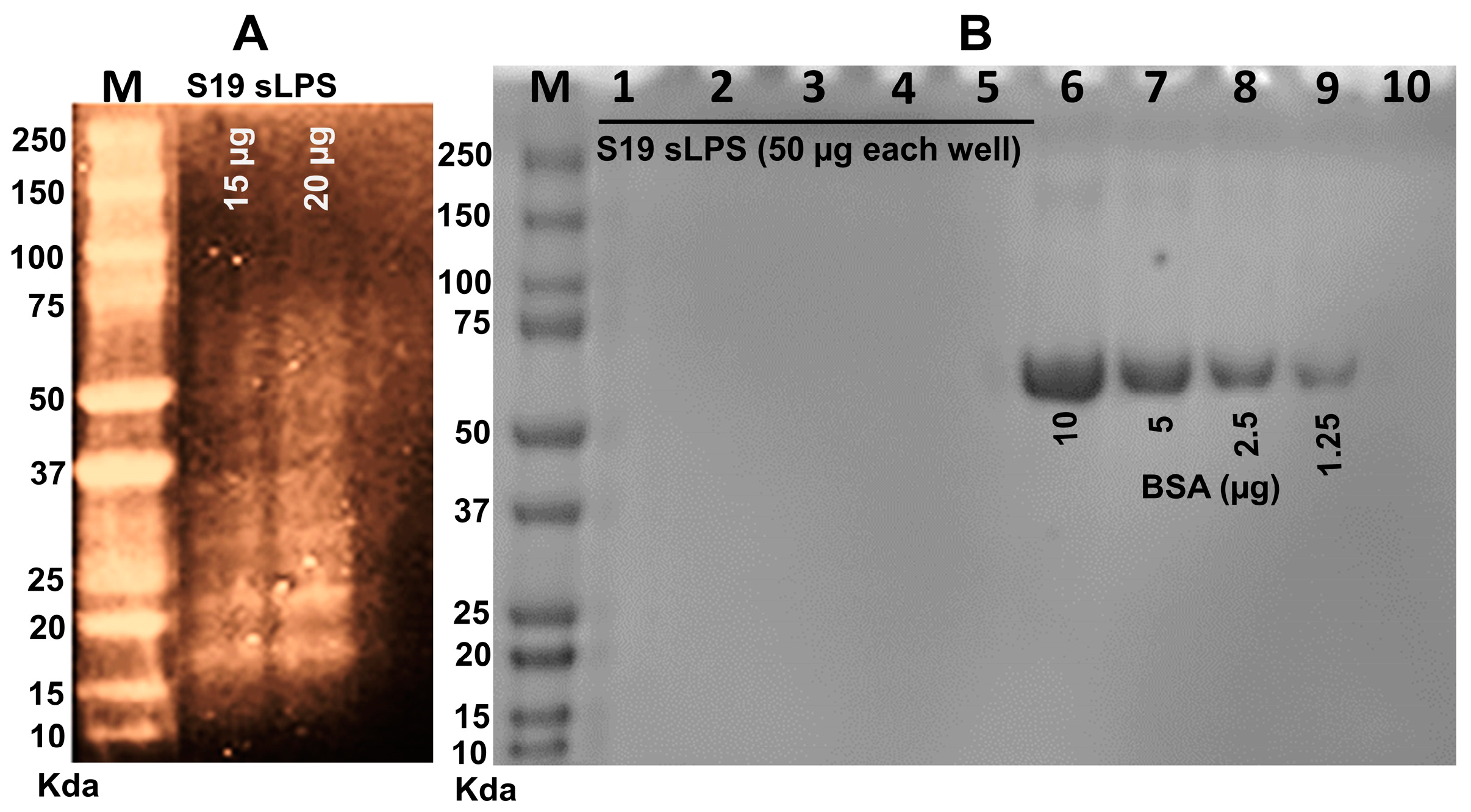 Vaccines 11 00546 g002