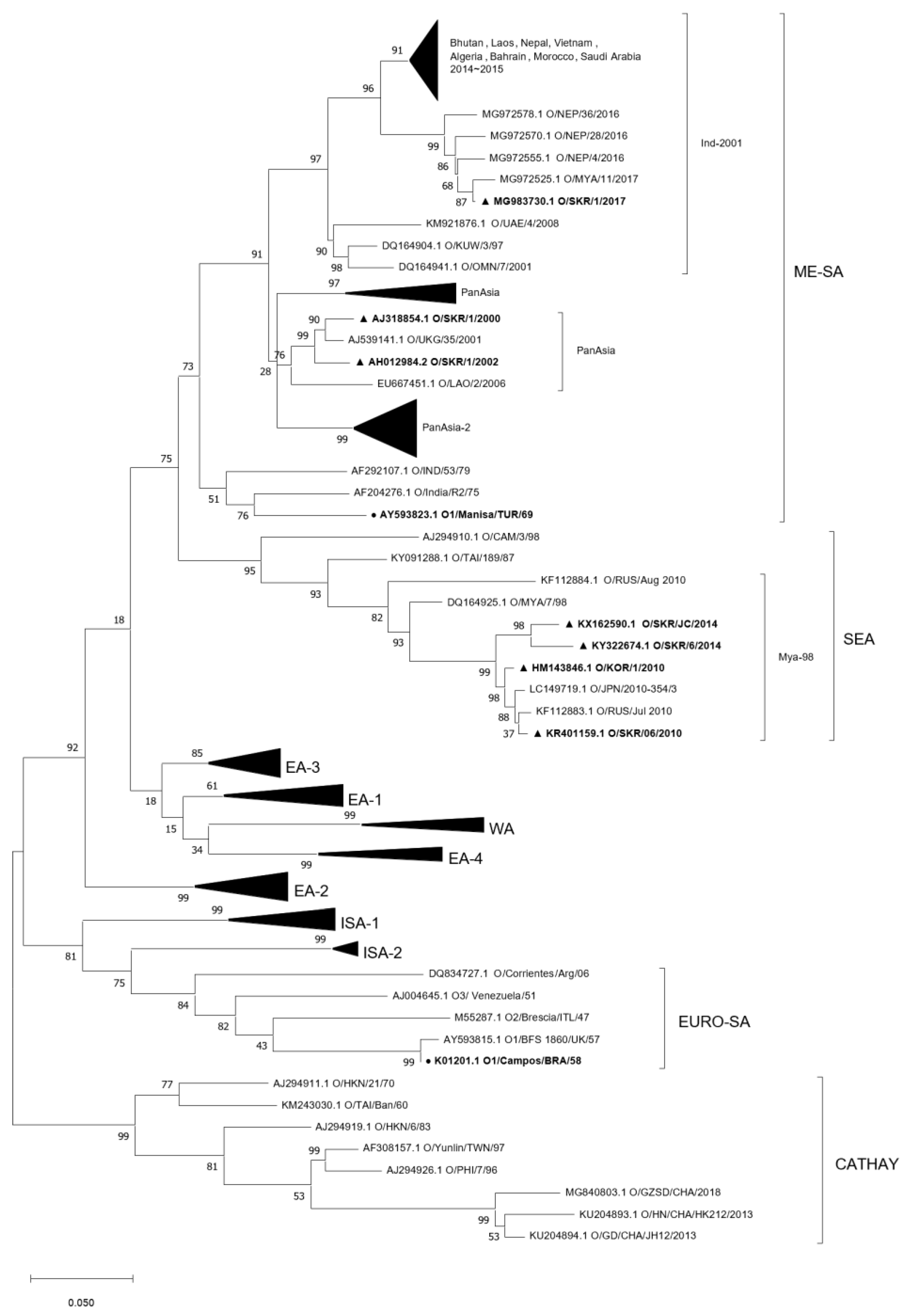 Vaccines 11 00551 g001 Vaccines 11 00551 g001