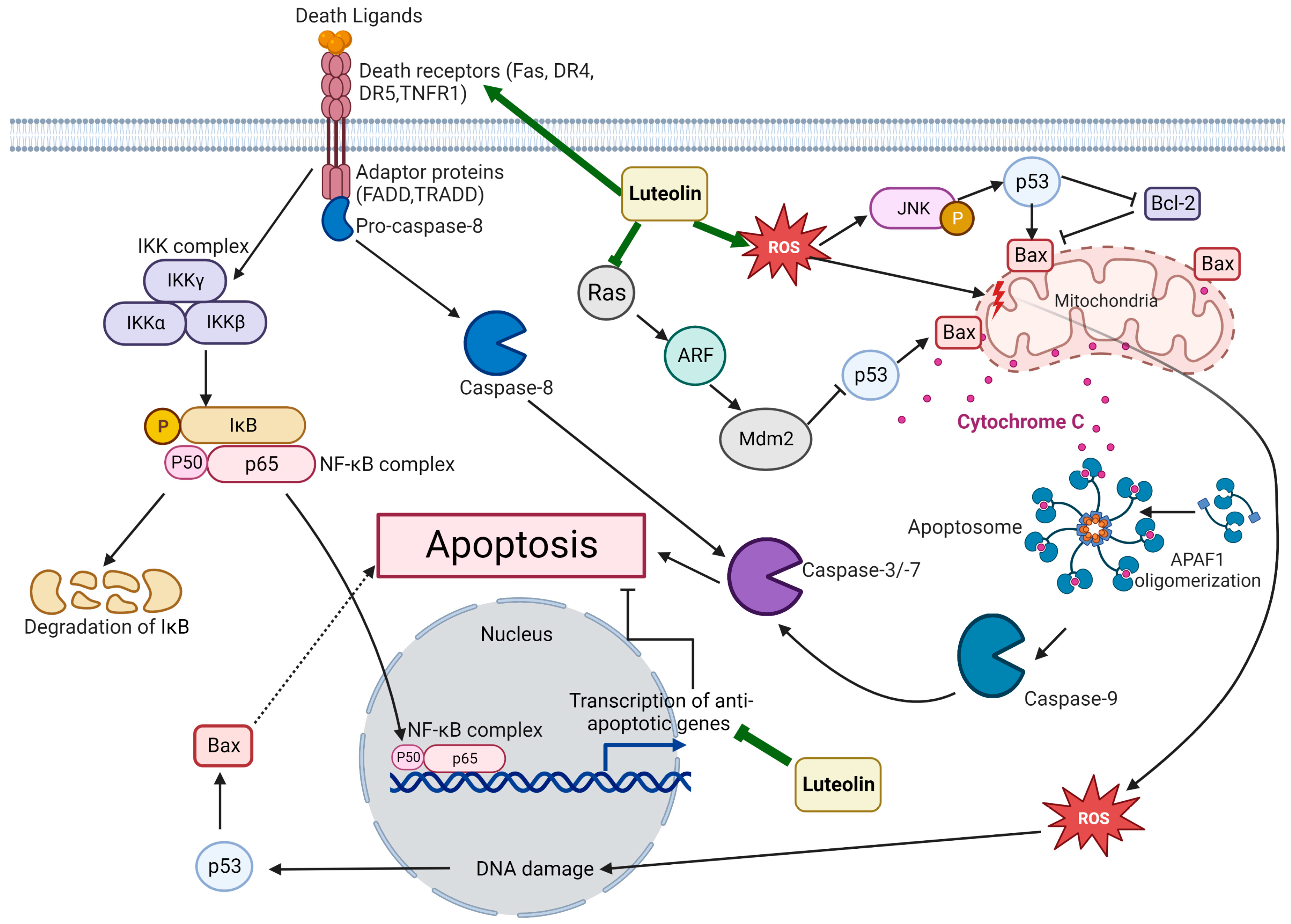 Vaccines 11 00554 g003