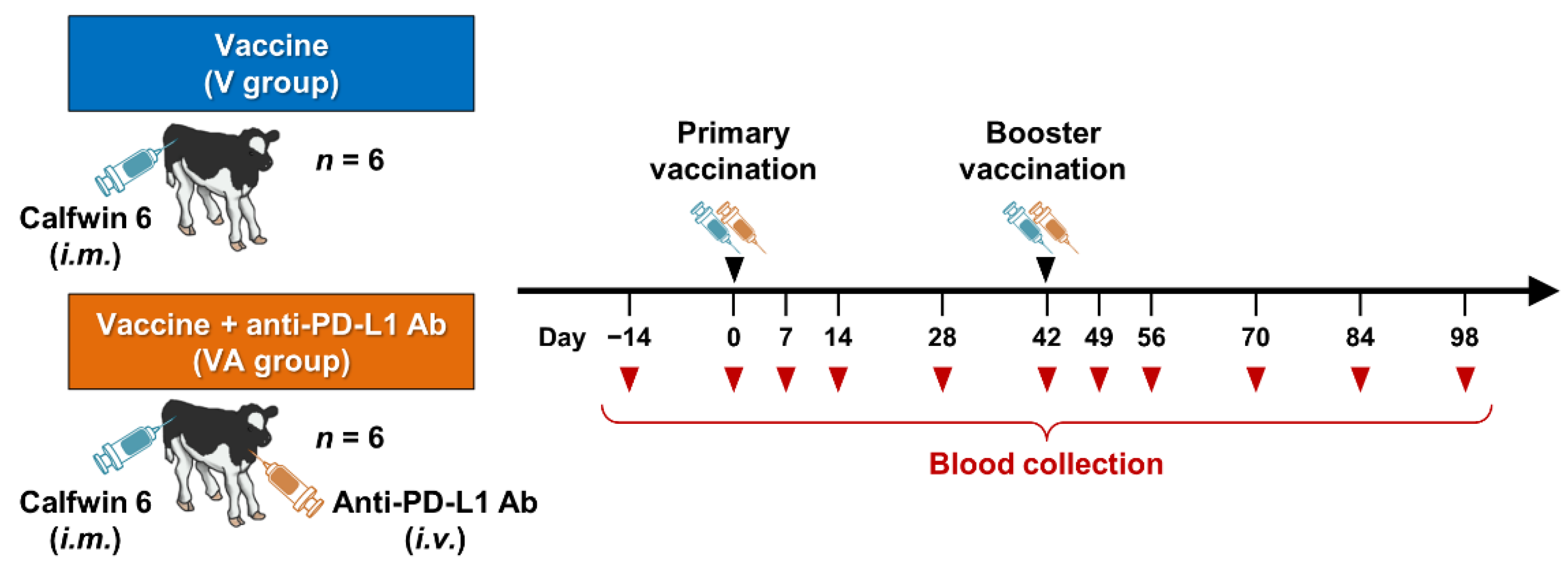 Vaccines 11 00559 g001 Vaccines 11 00559 g001