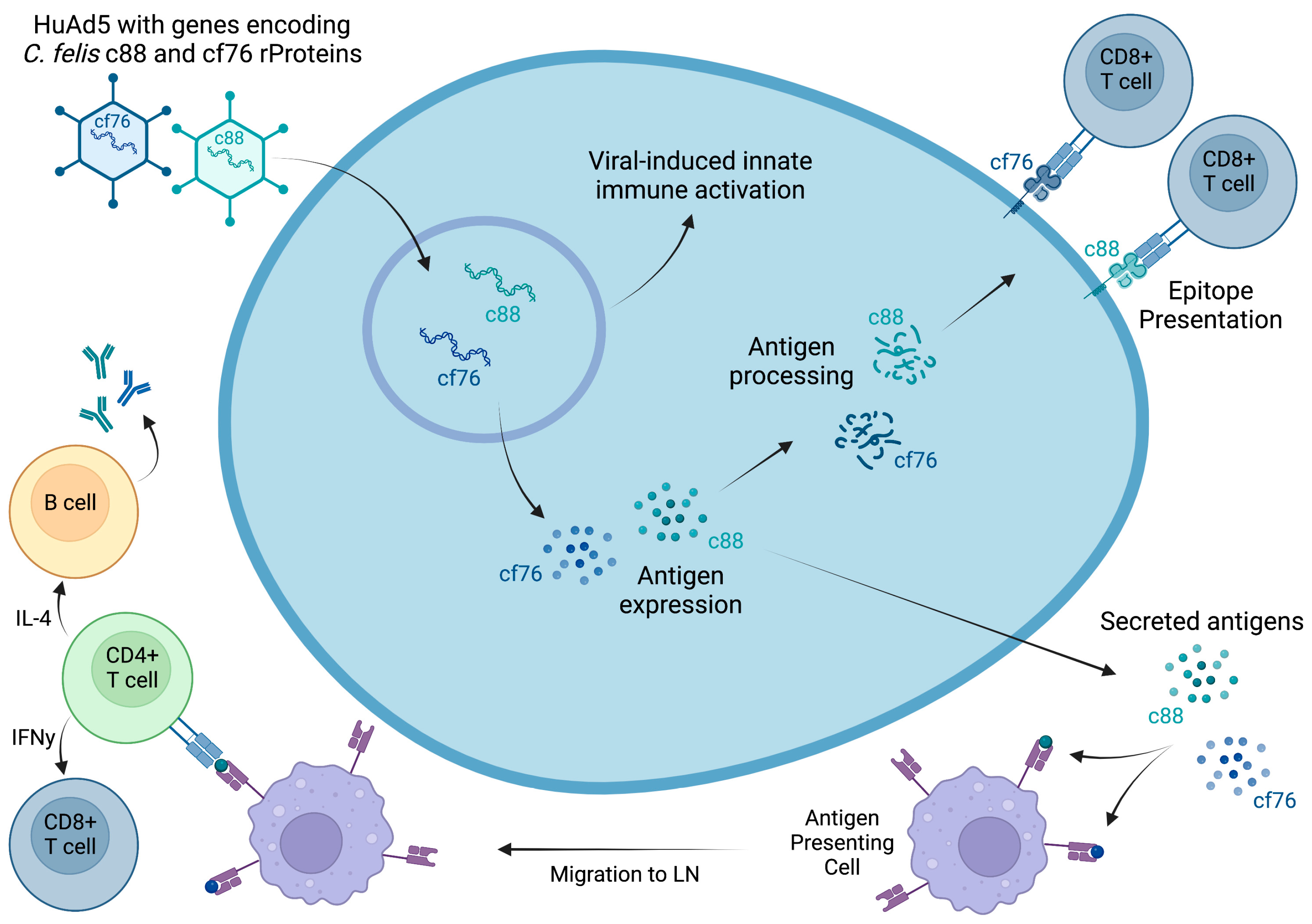 Vaccines 11 00573 g001 Vaccines 11 00573 g001