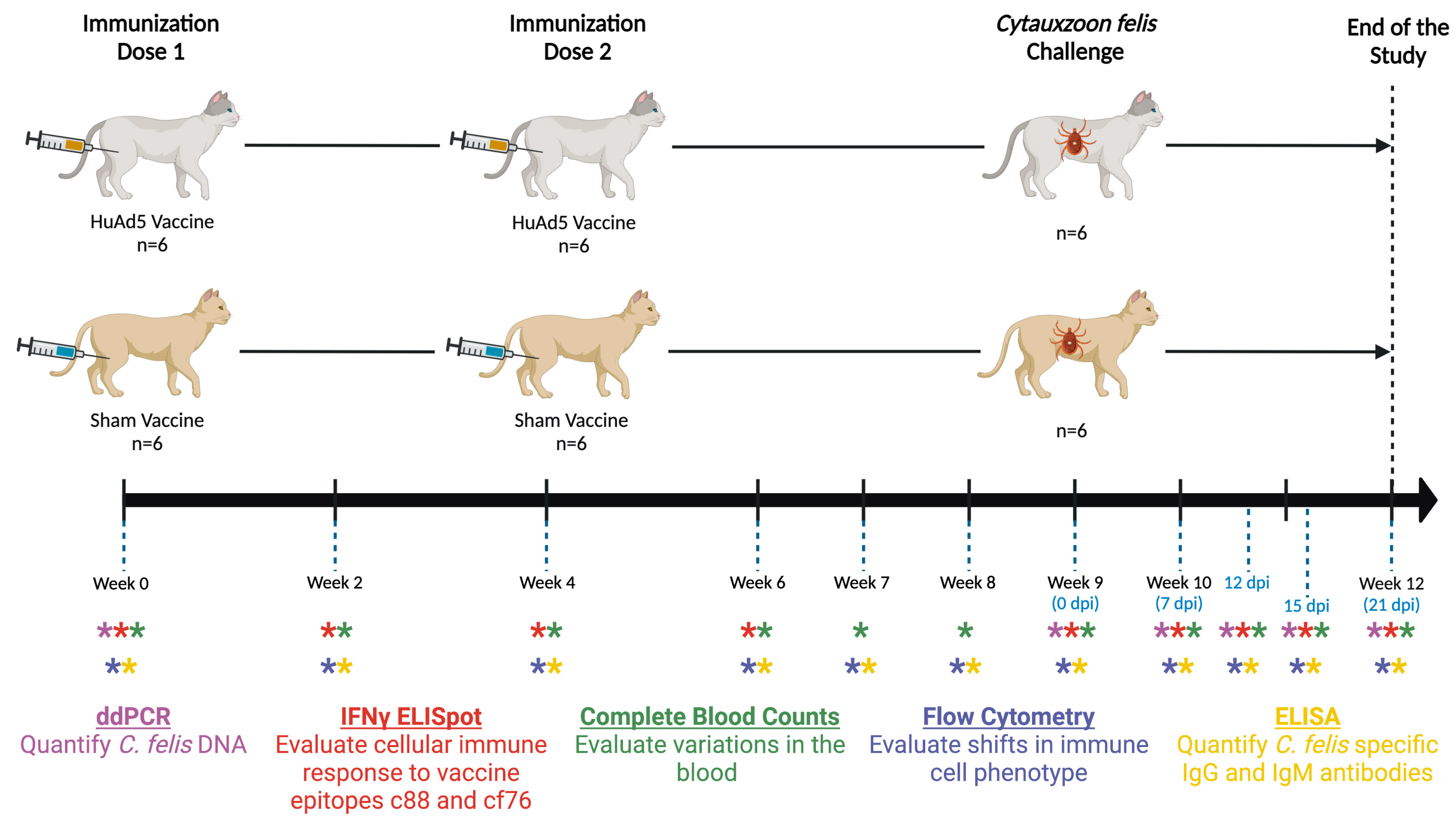 Vaccines 11 00573 g002 Vaccines 11 00573 g002