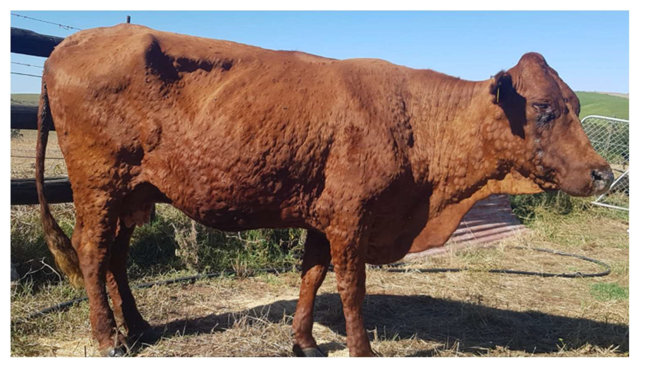 Vaccines 11 00578 g002 Vaccines 11 00578 g002