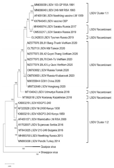 Vaccines 11 00578 g004
