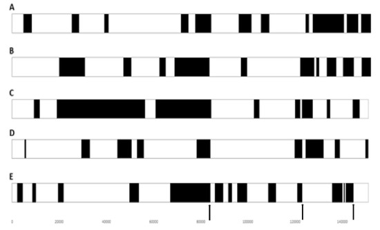 Vaccines 11 00578 g005