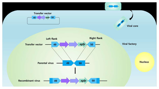 Vaccines 11 00578 g006