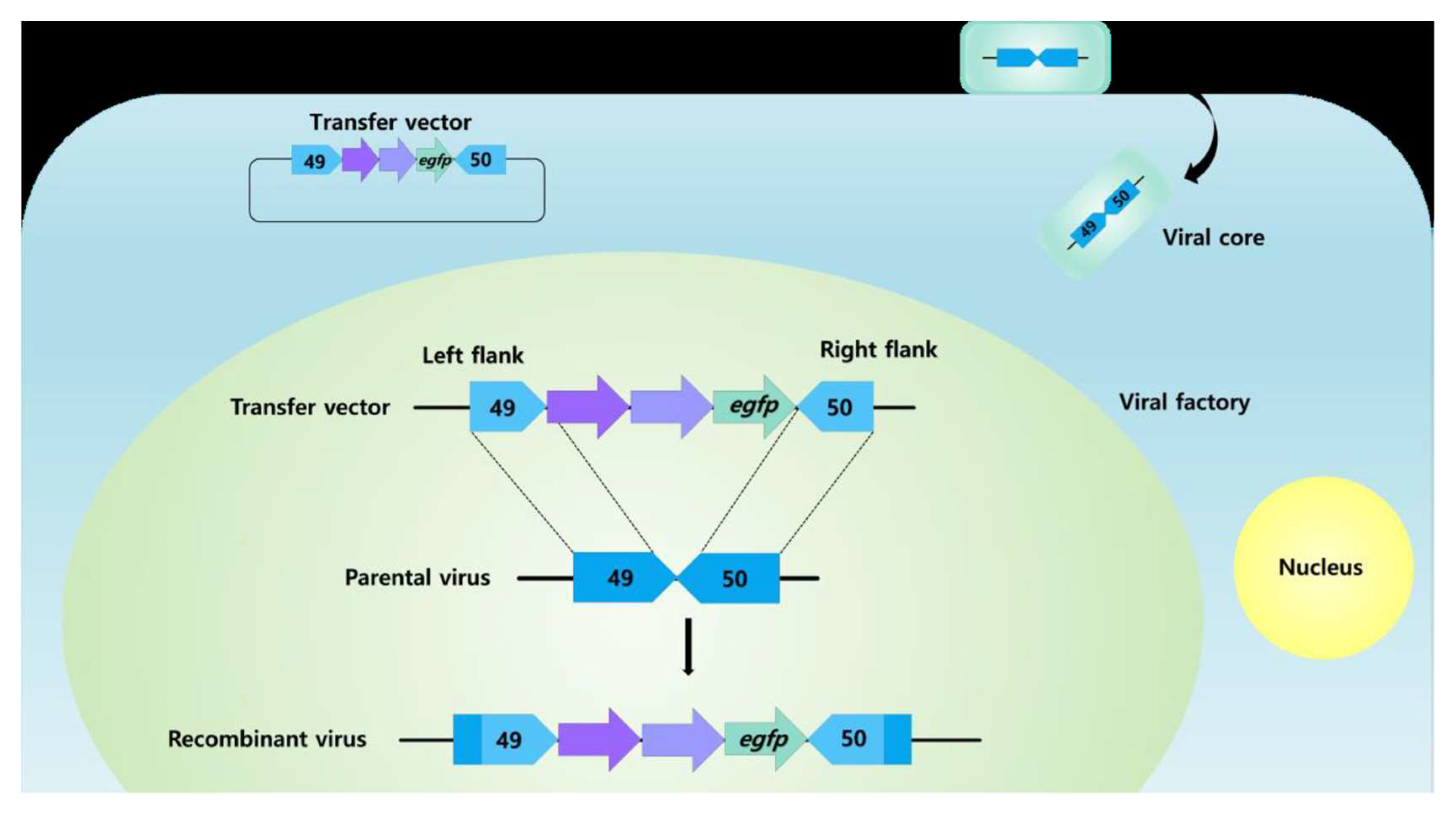 Vaccines 11 00578 g006 Vaccines 11 00578 g006