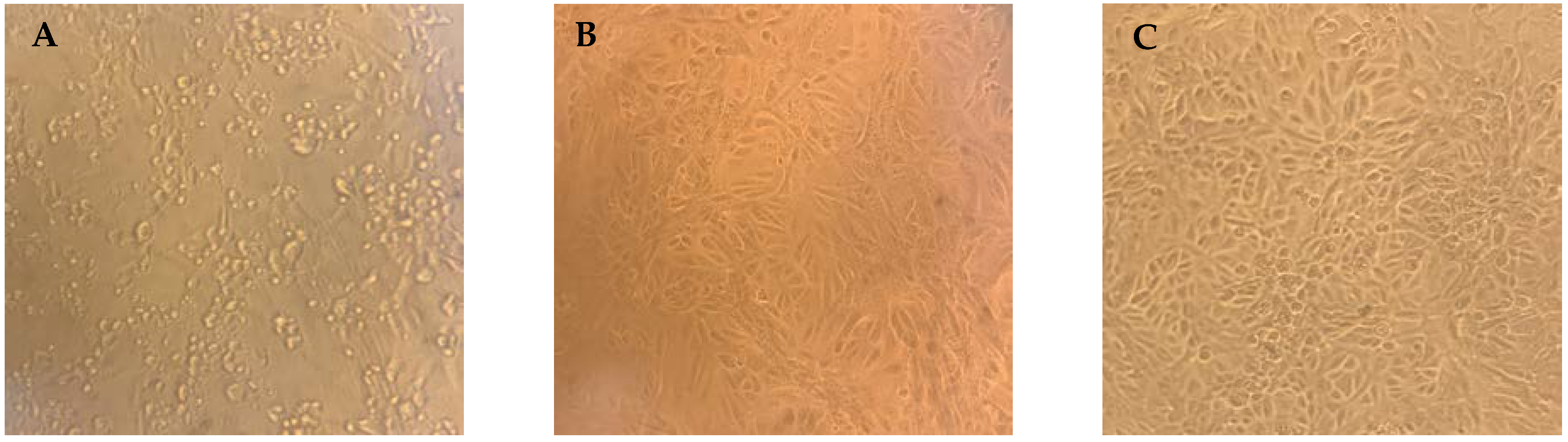 Vaccines 11 00590 g002